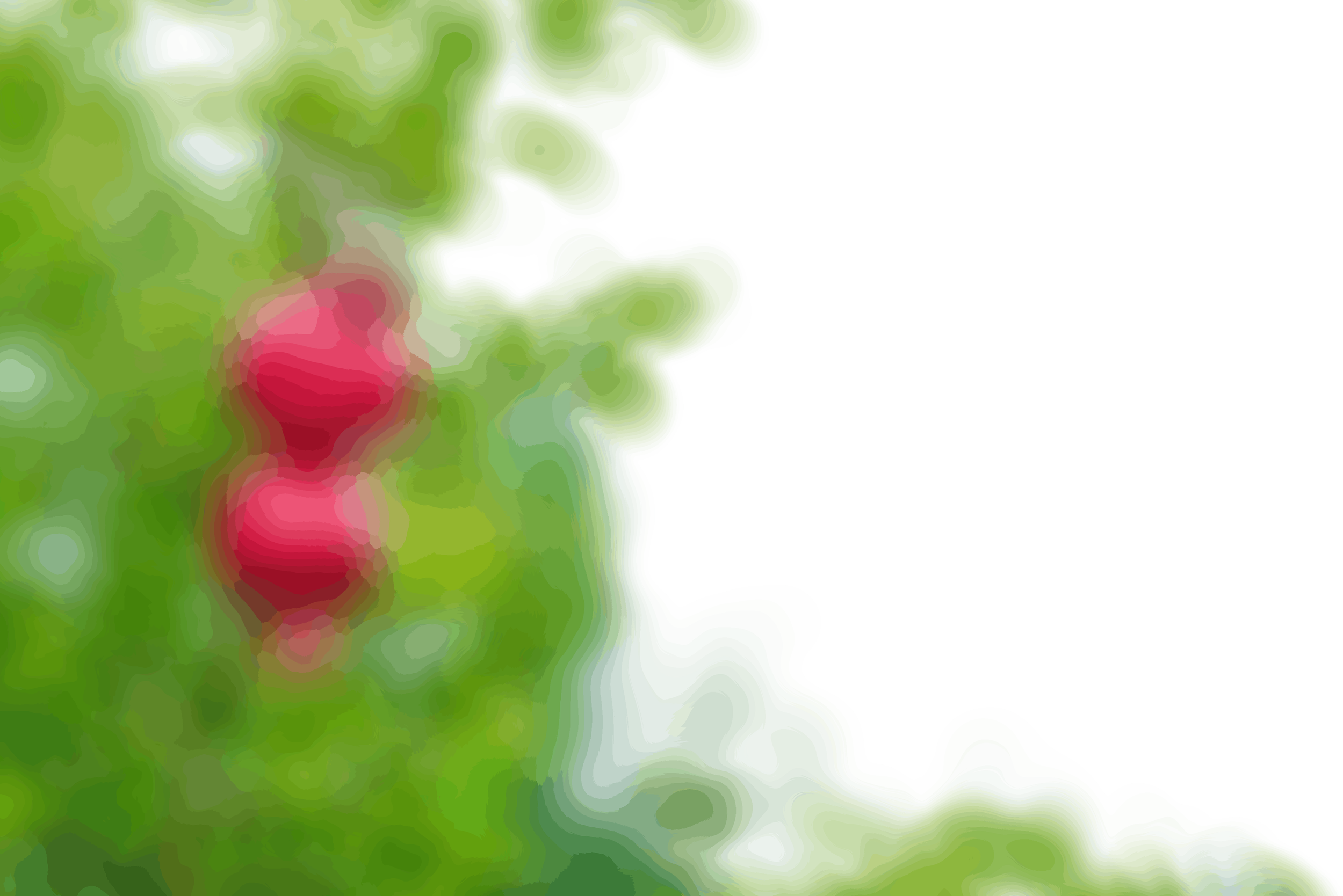 15.png