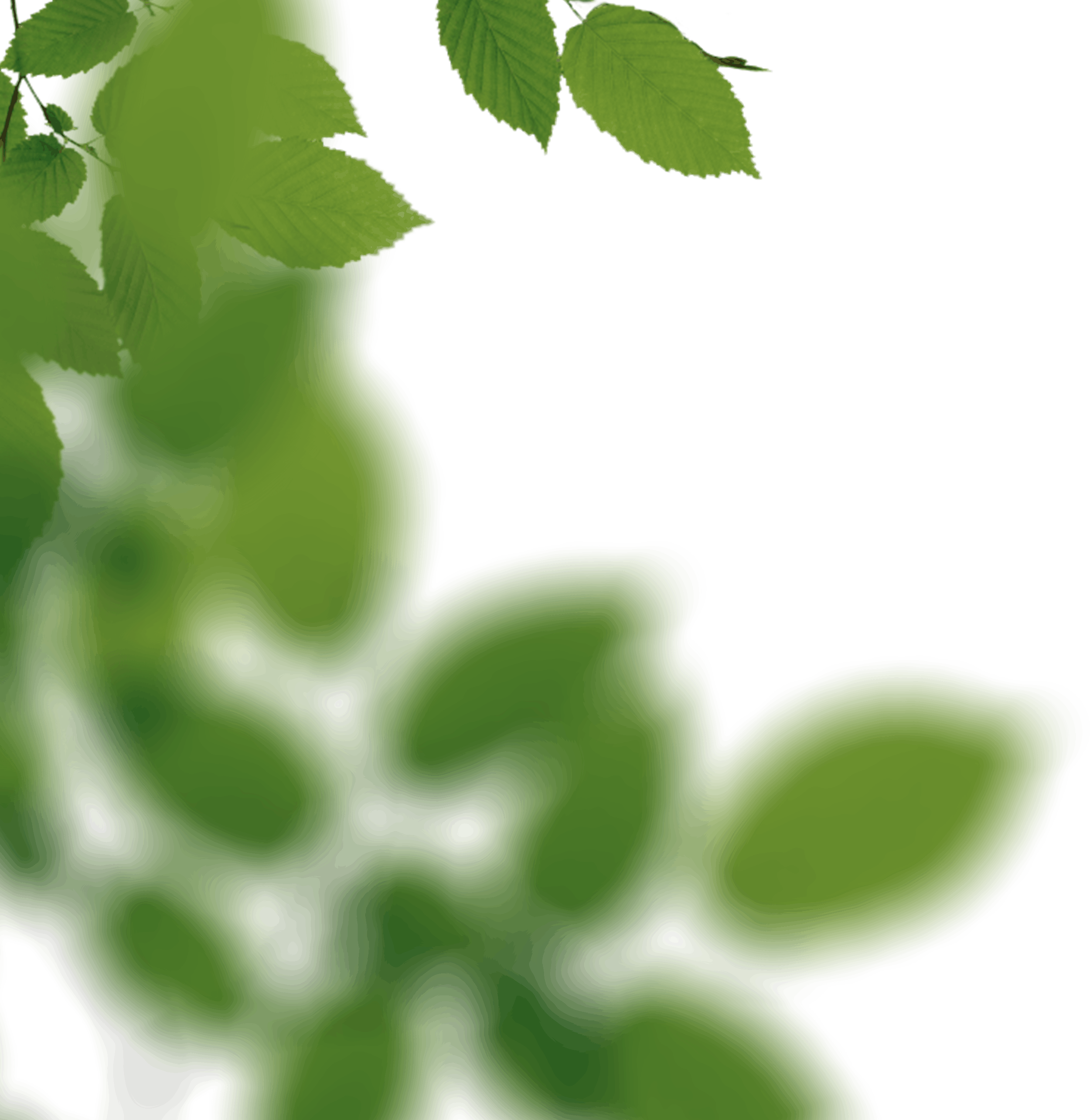 3.png