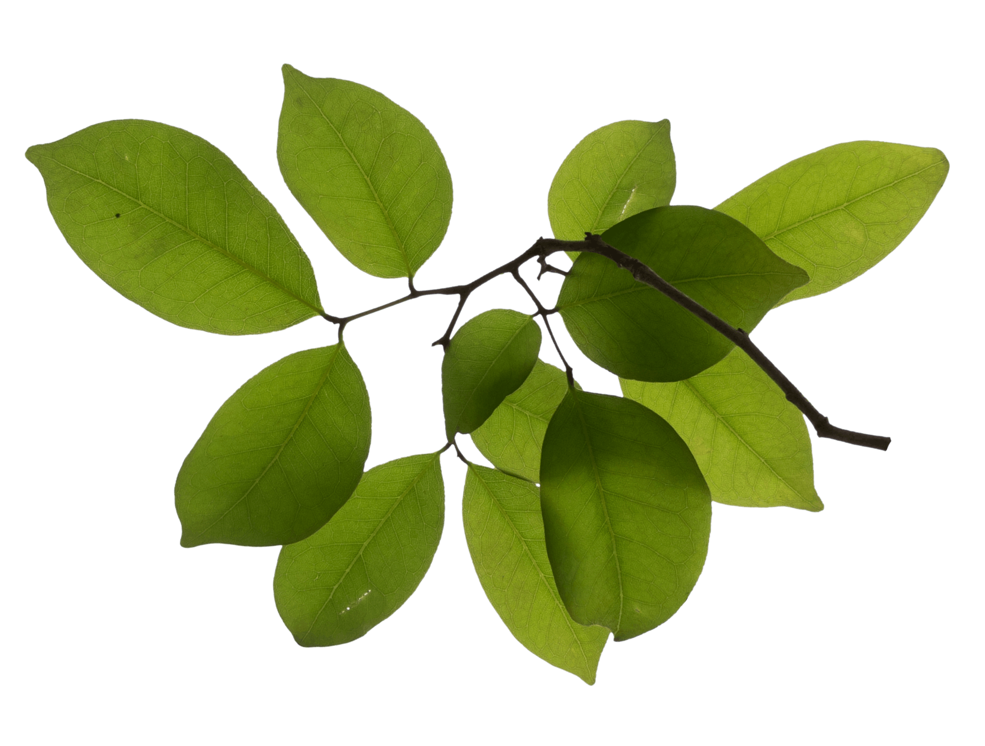 6.png