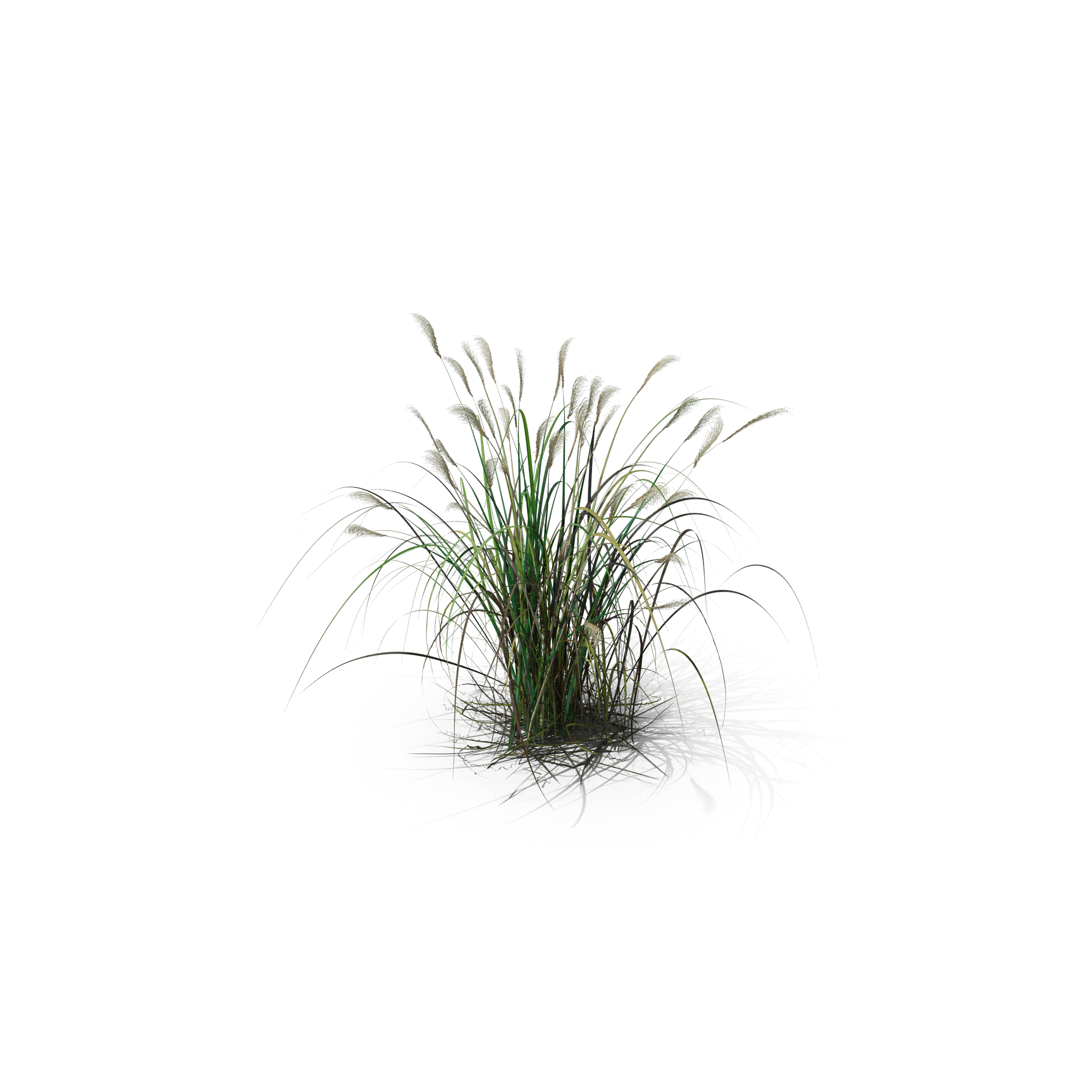 5.png