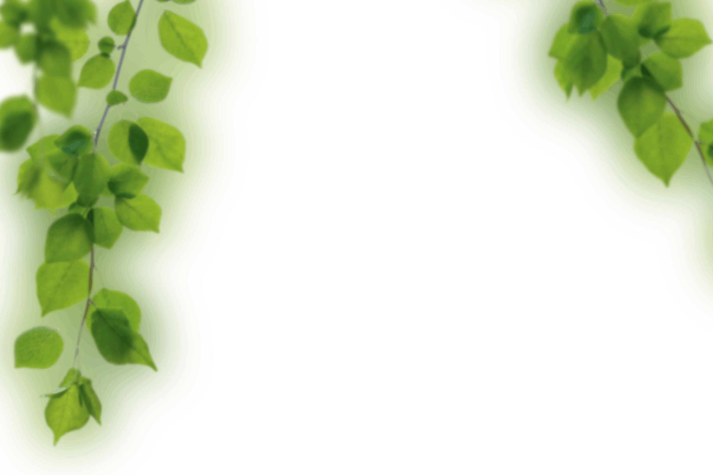 7.png