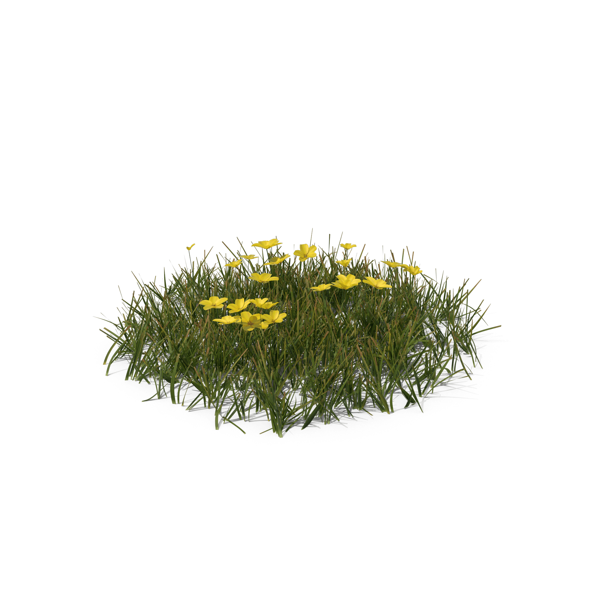 42.png