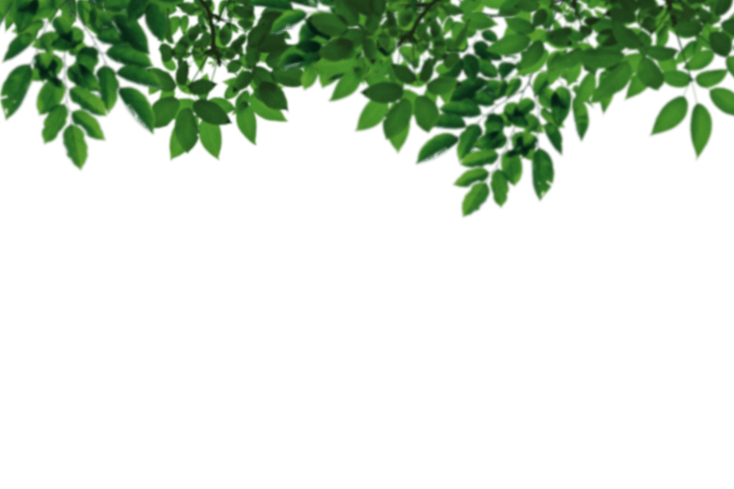 10.png