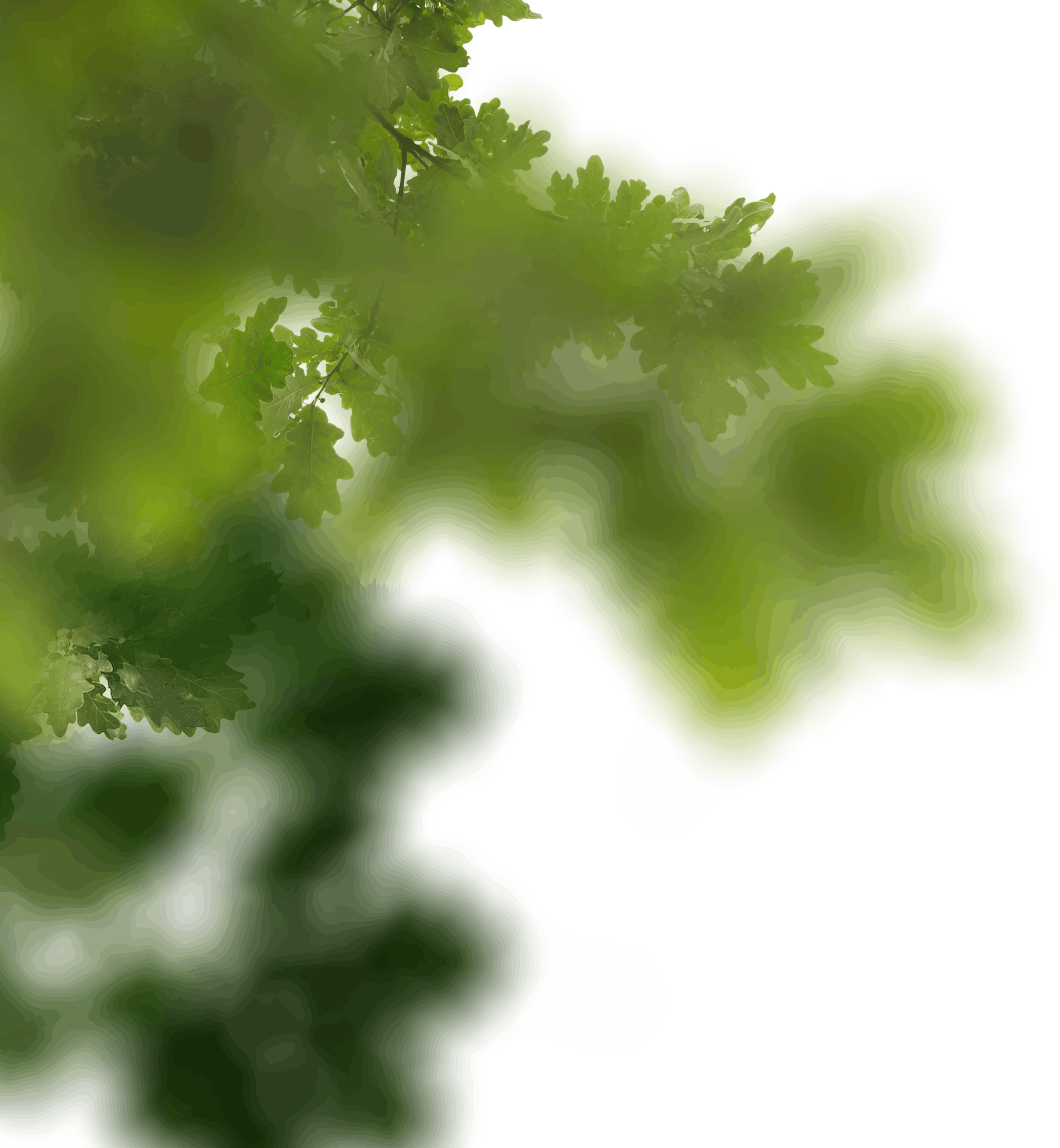 12.png