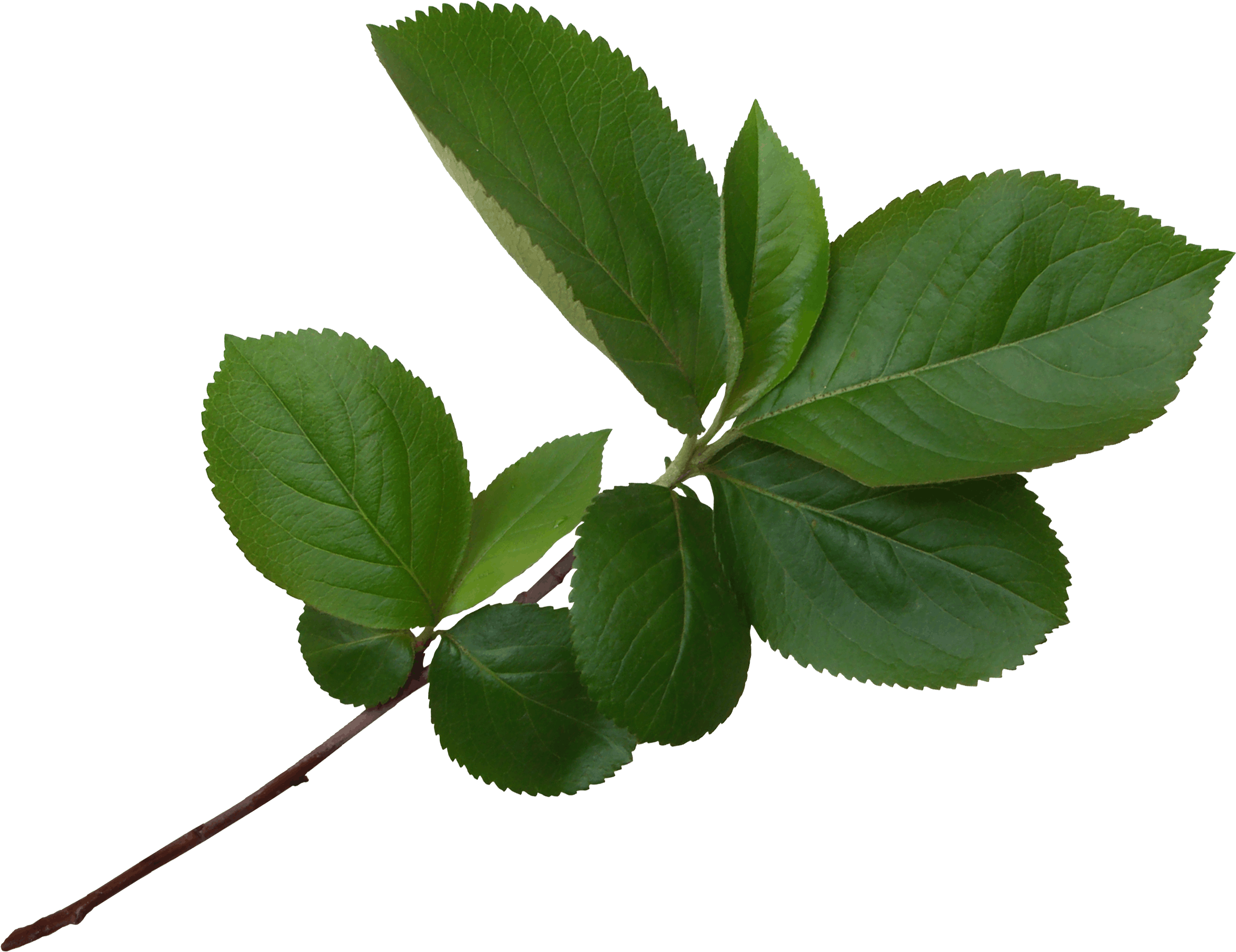 14.png