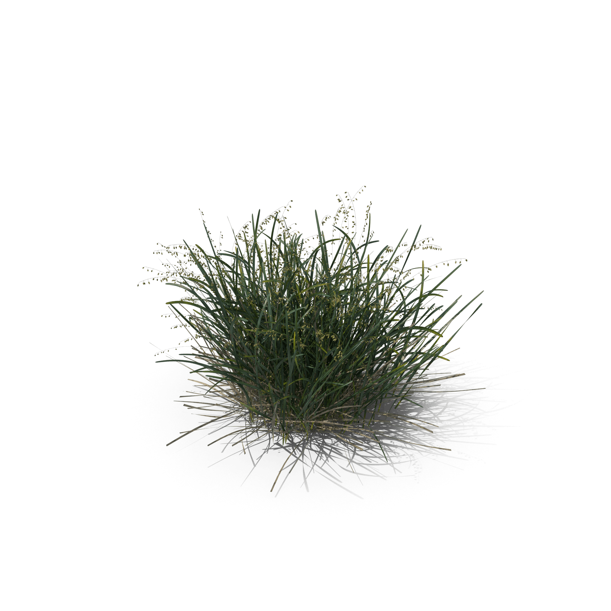 28.png