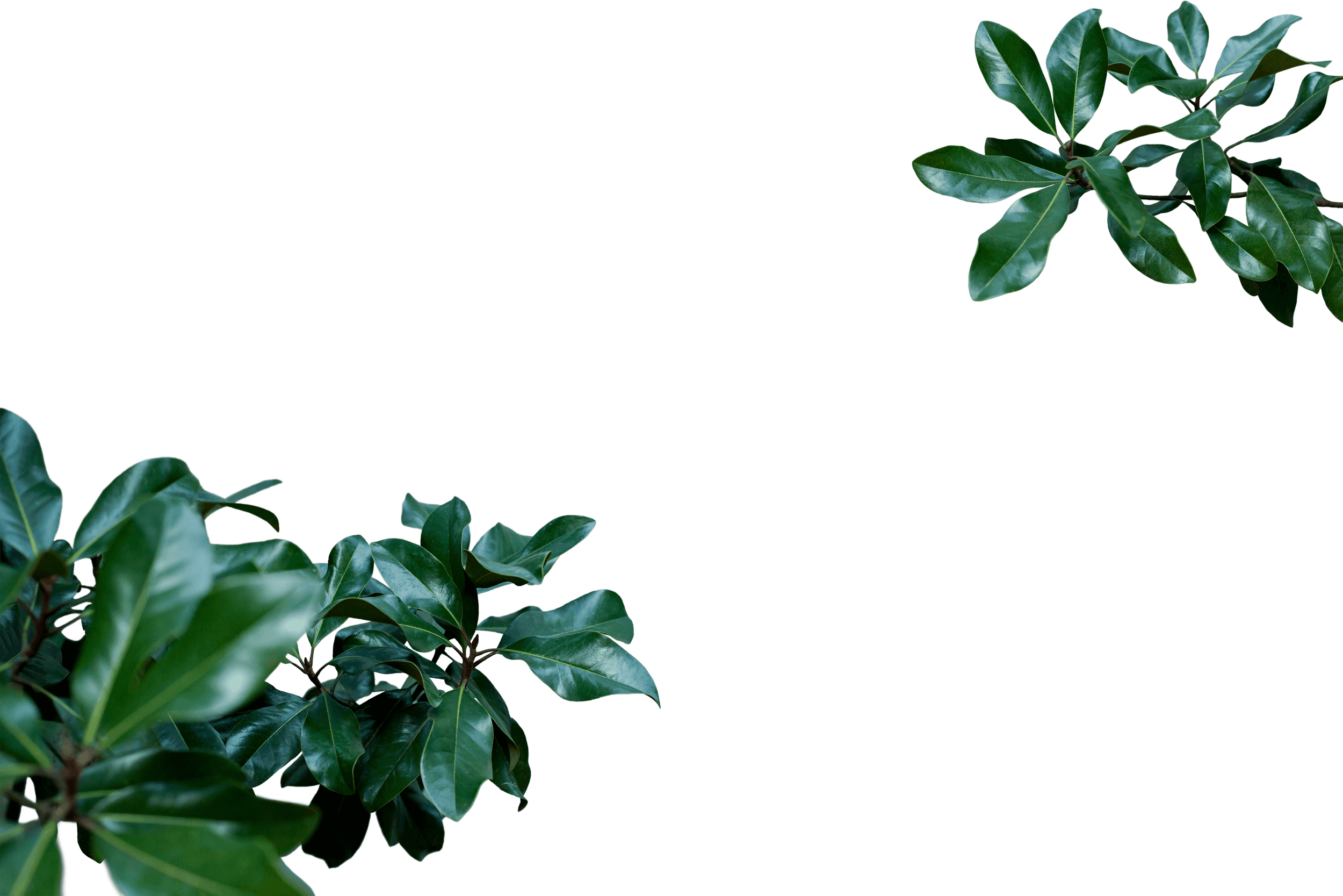 12.png