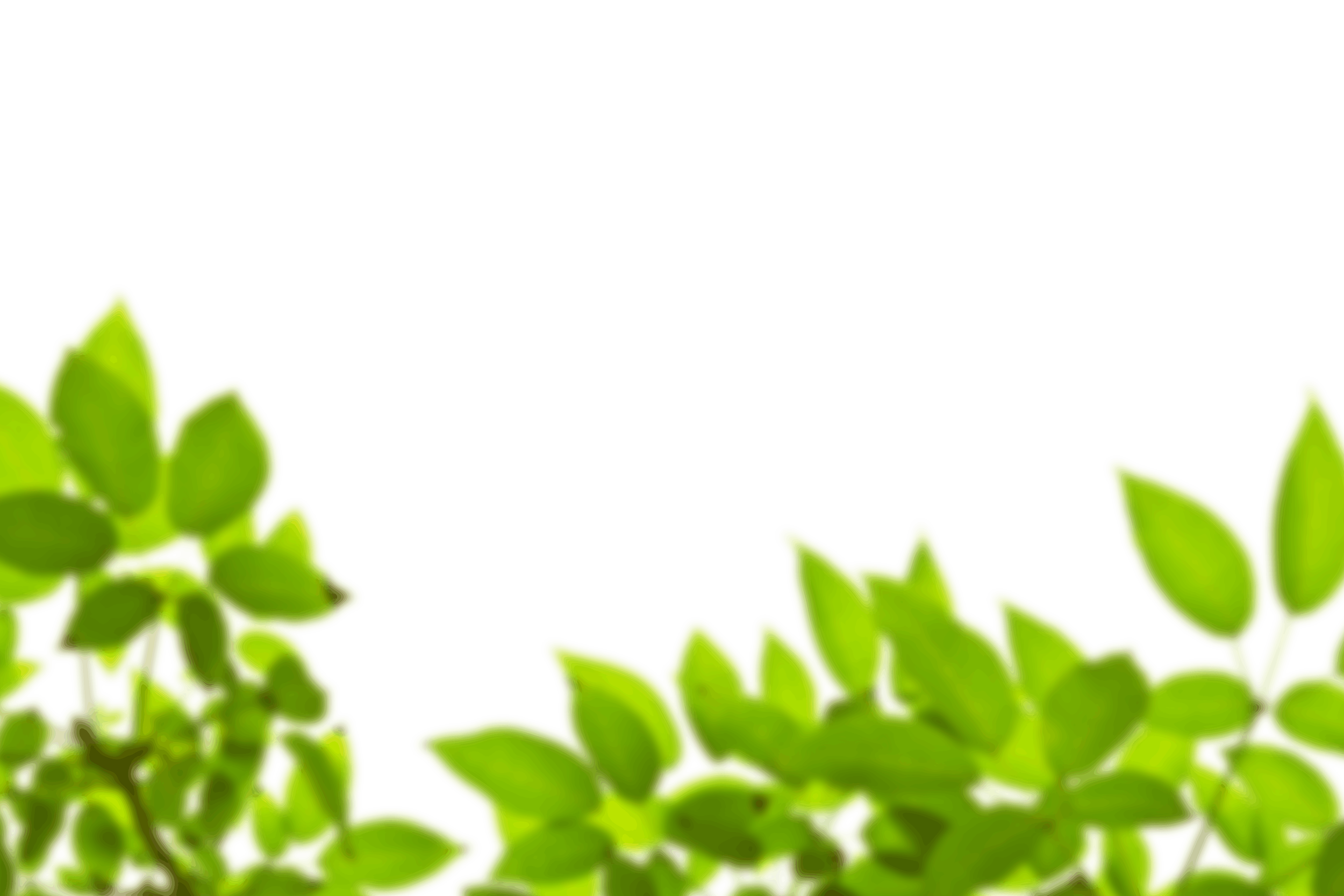 5.png