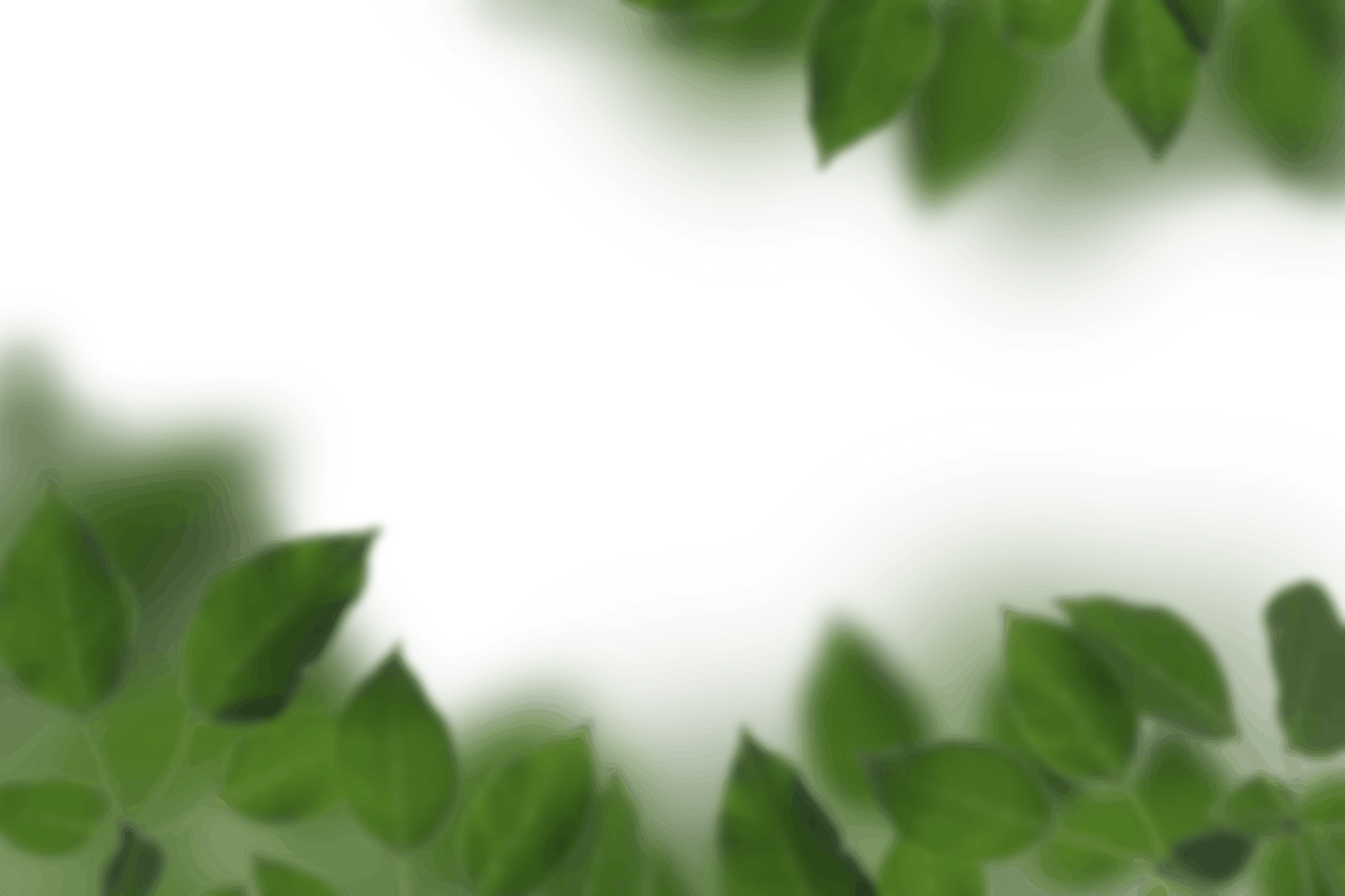 5.png