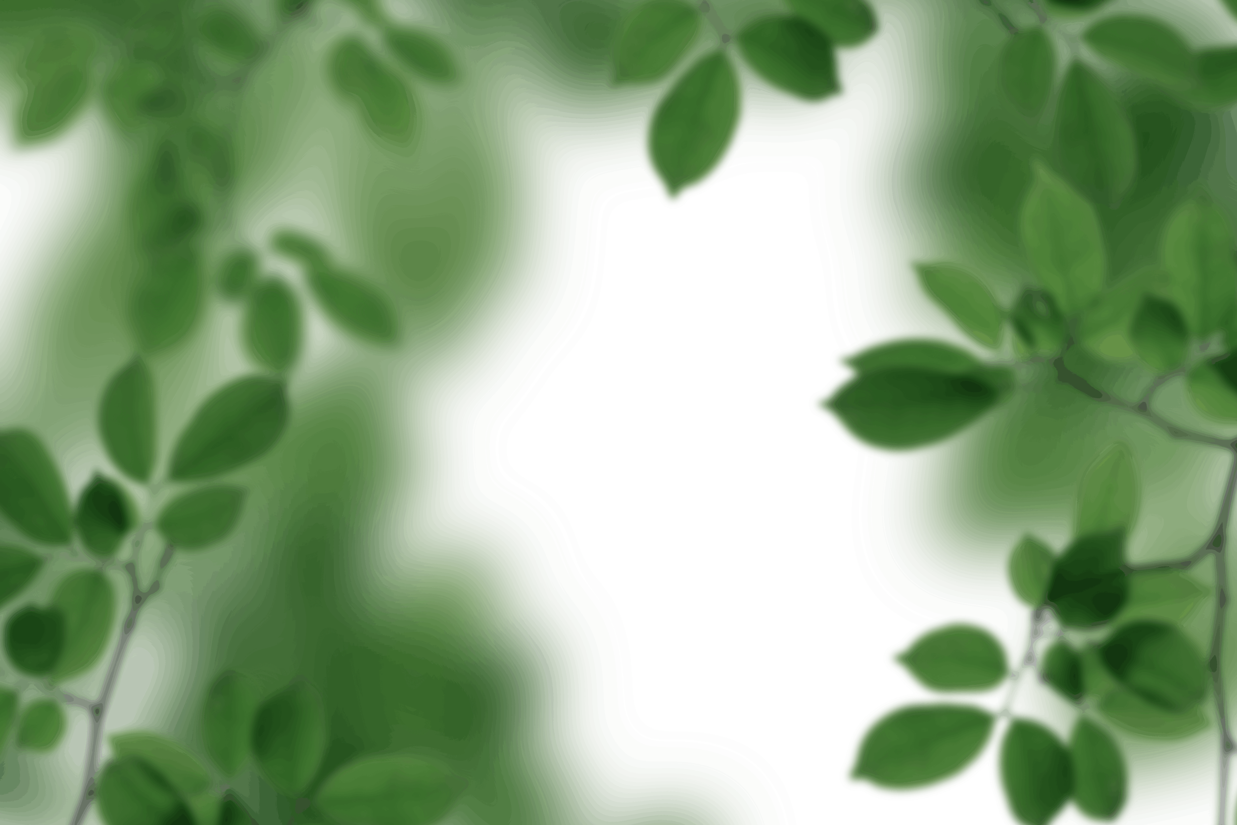 18.png