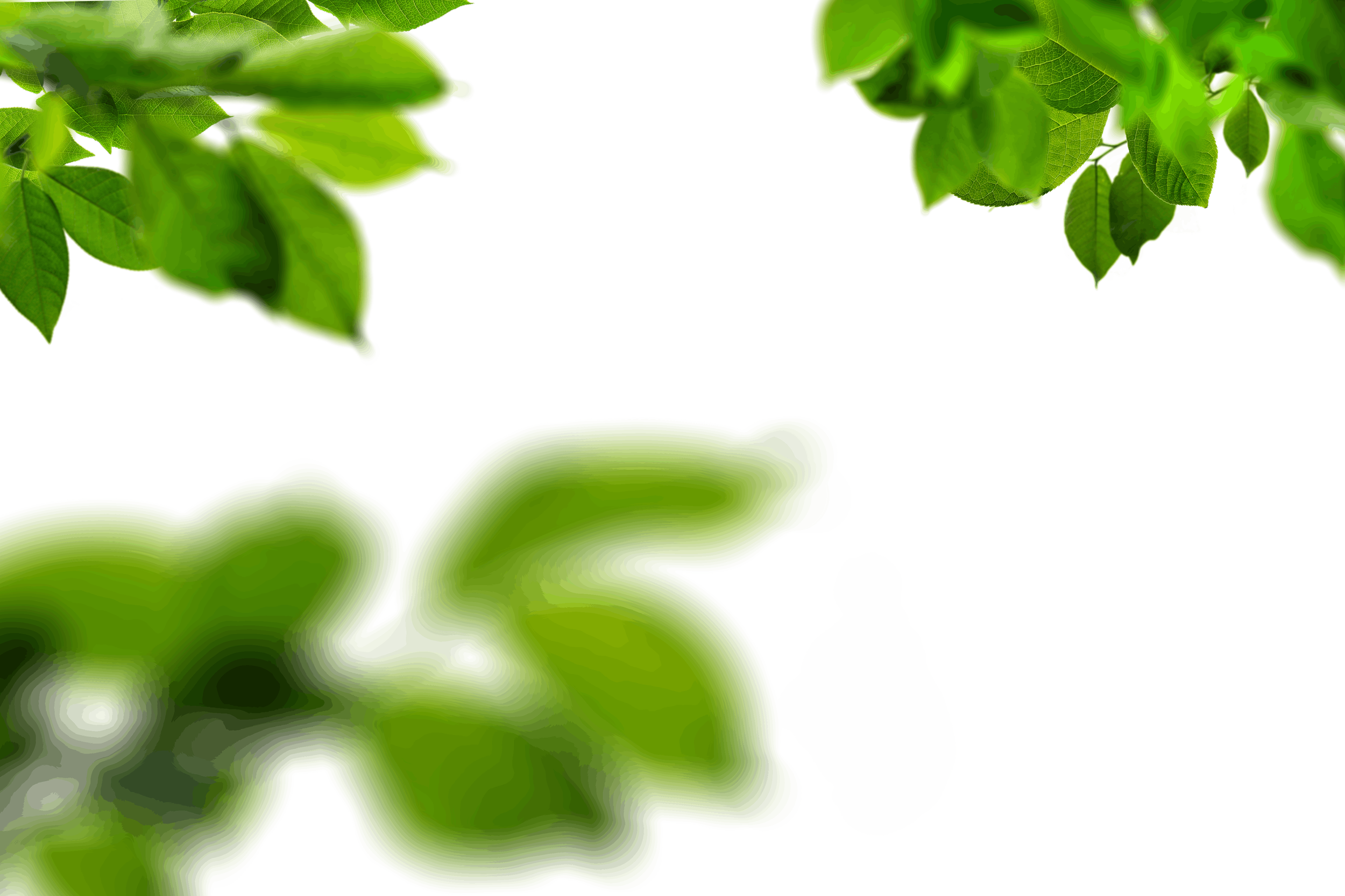 10.png