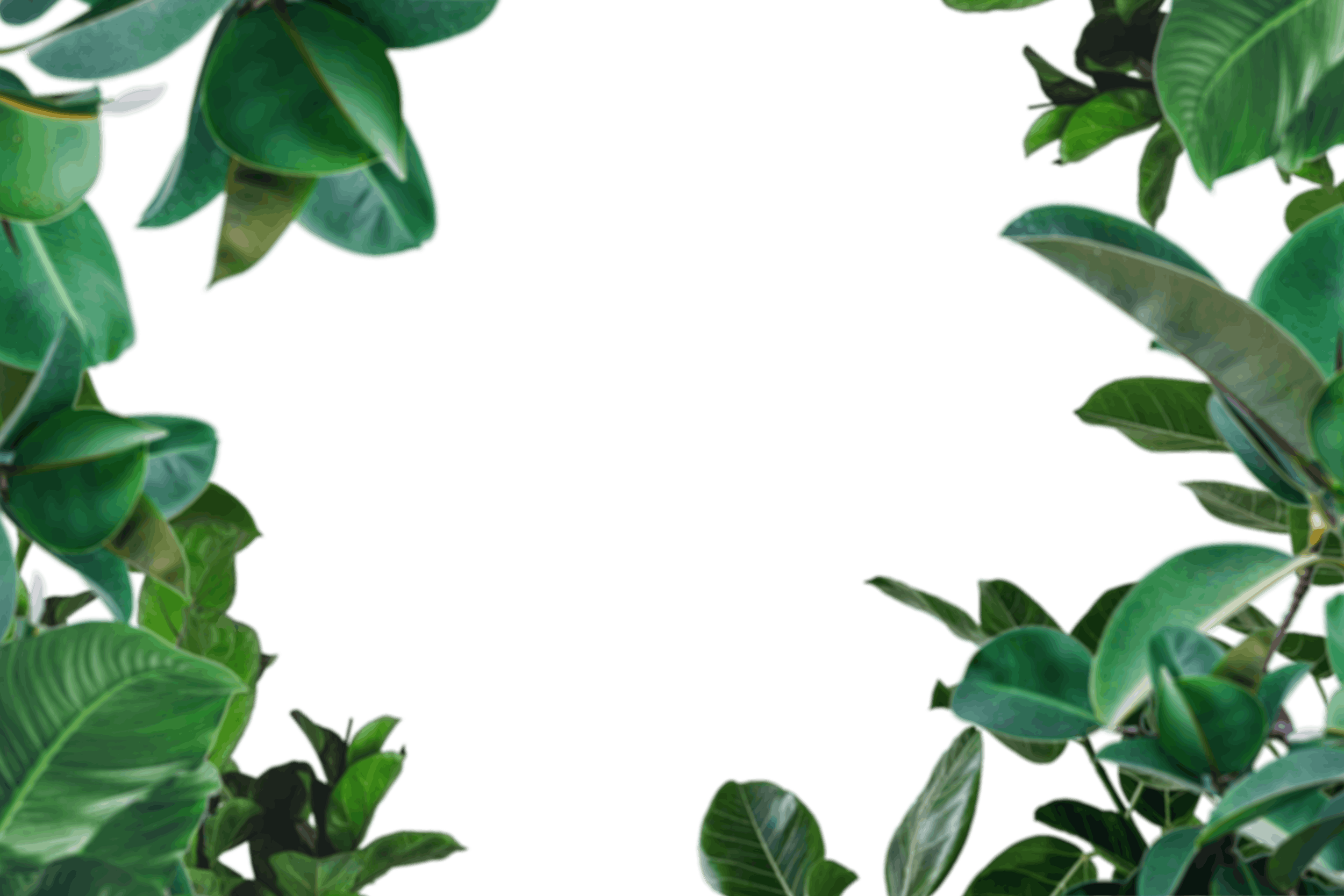 15.png