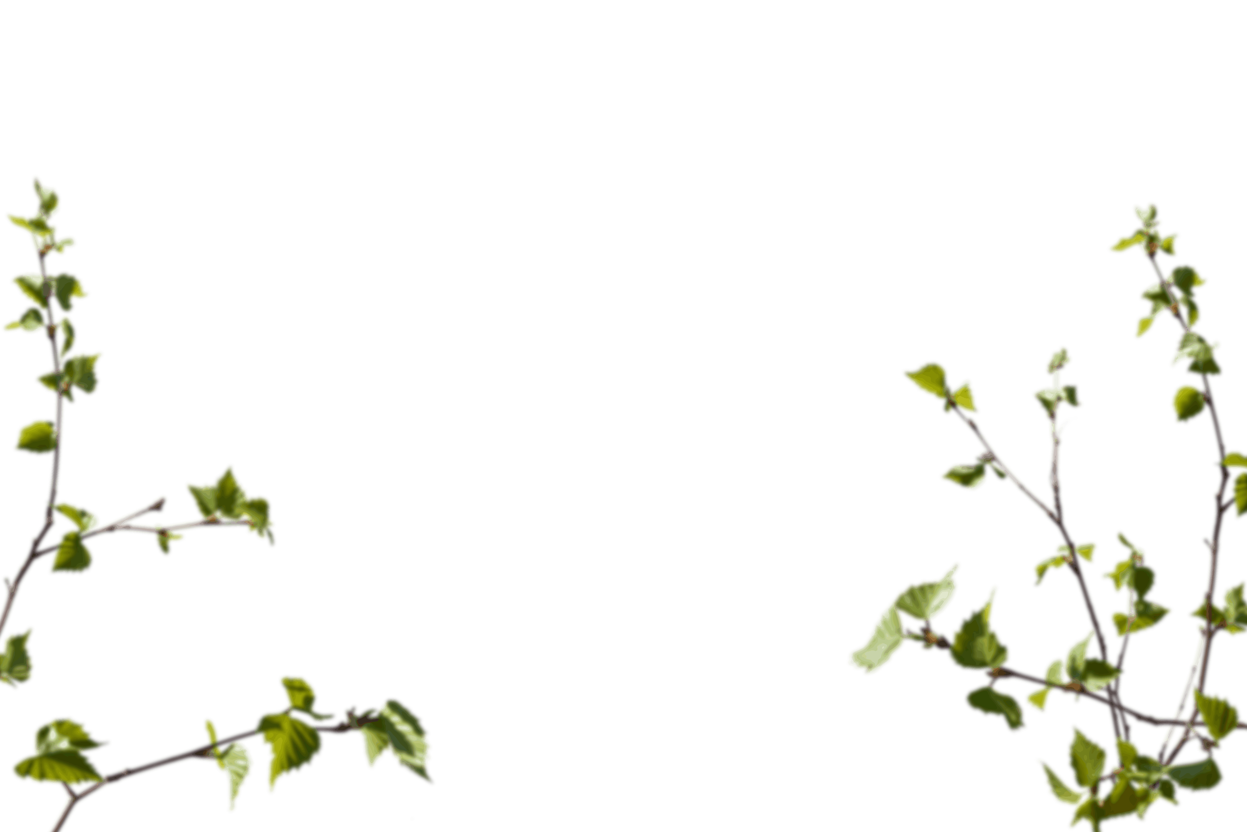 4.png