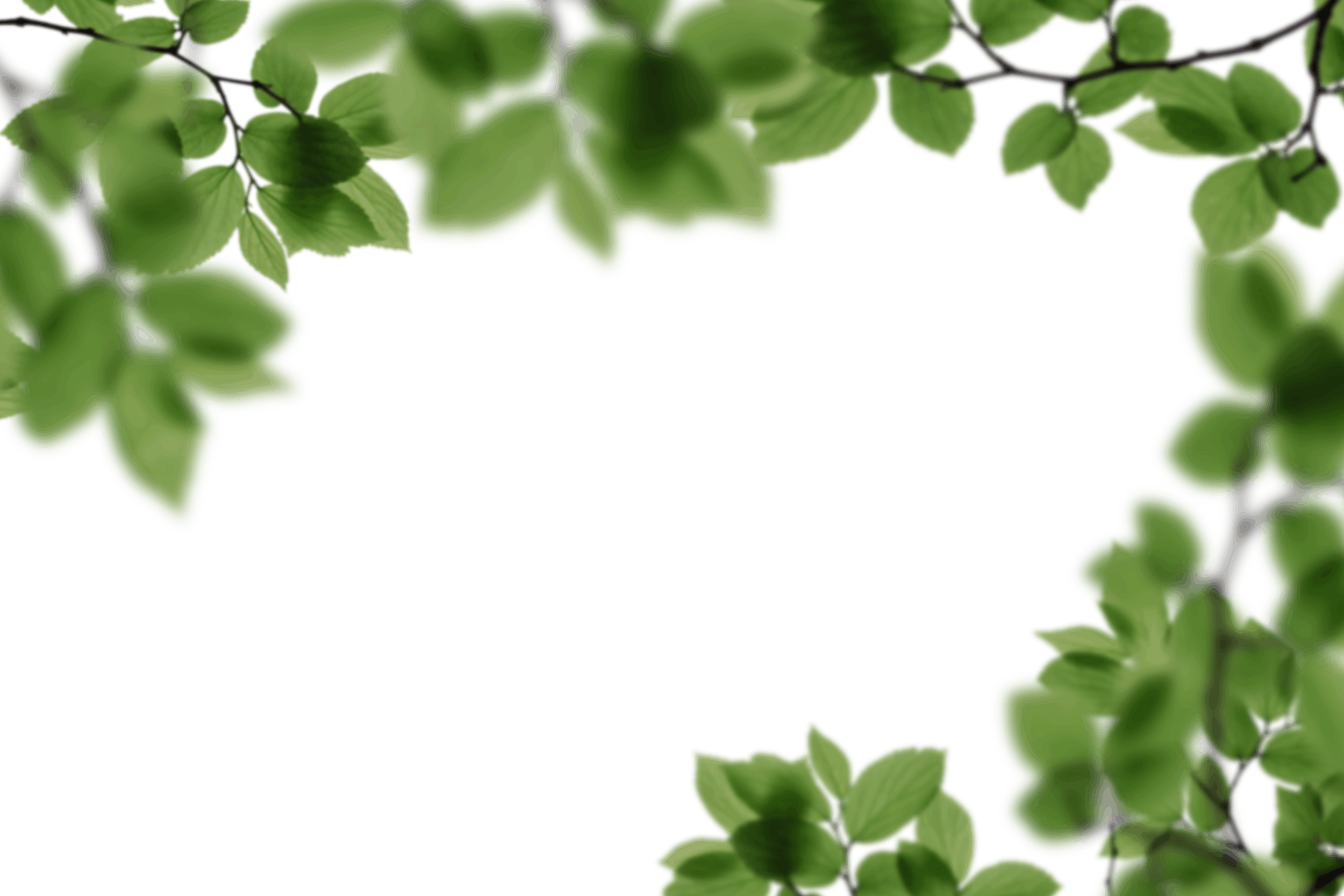 6.png