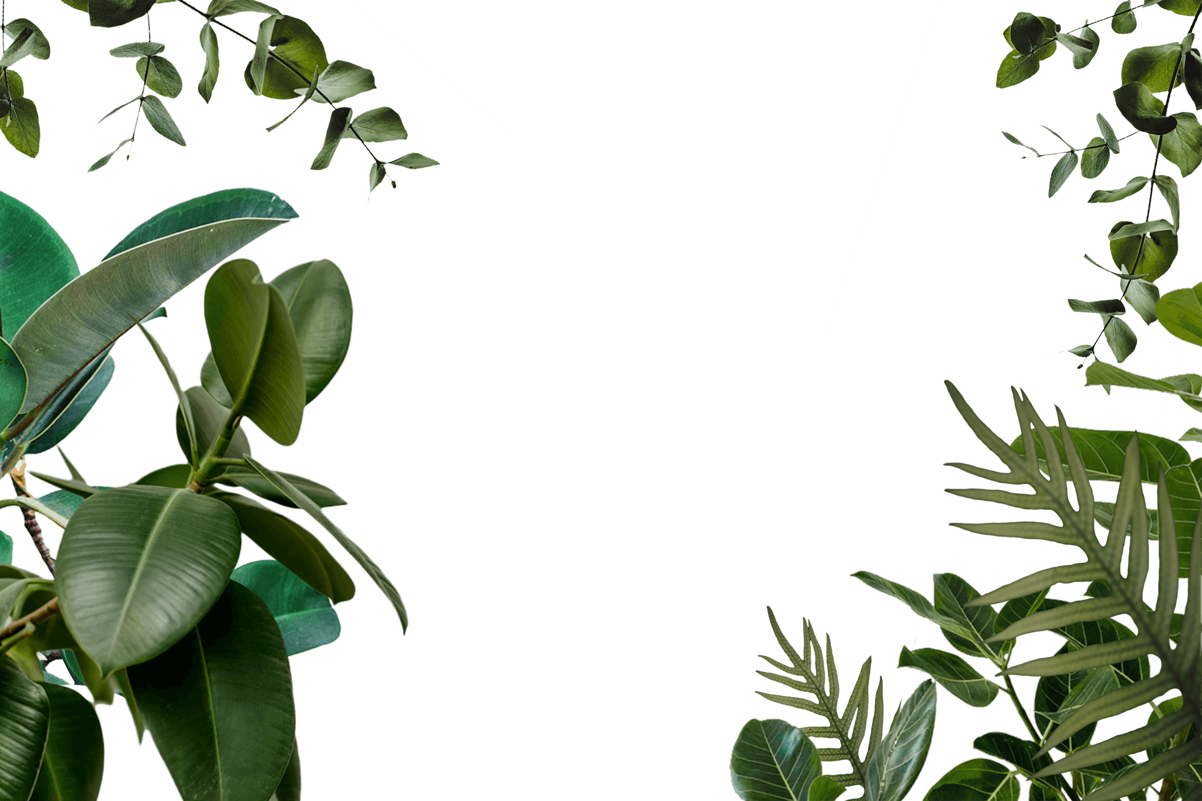 3.png