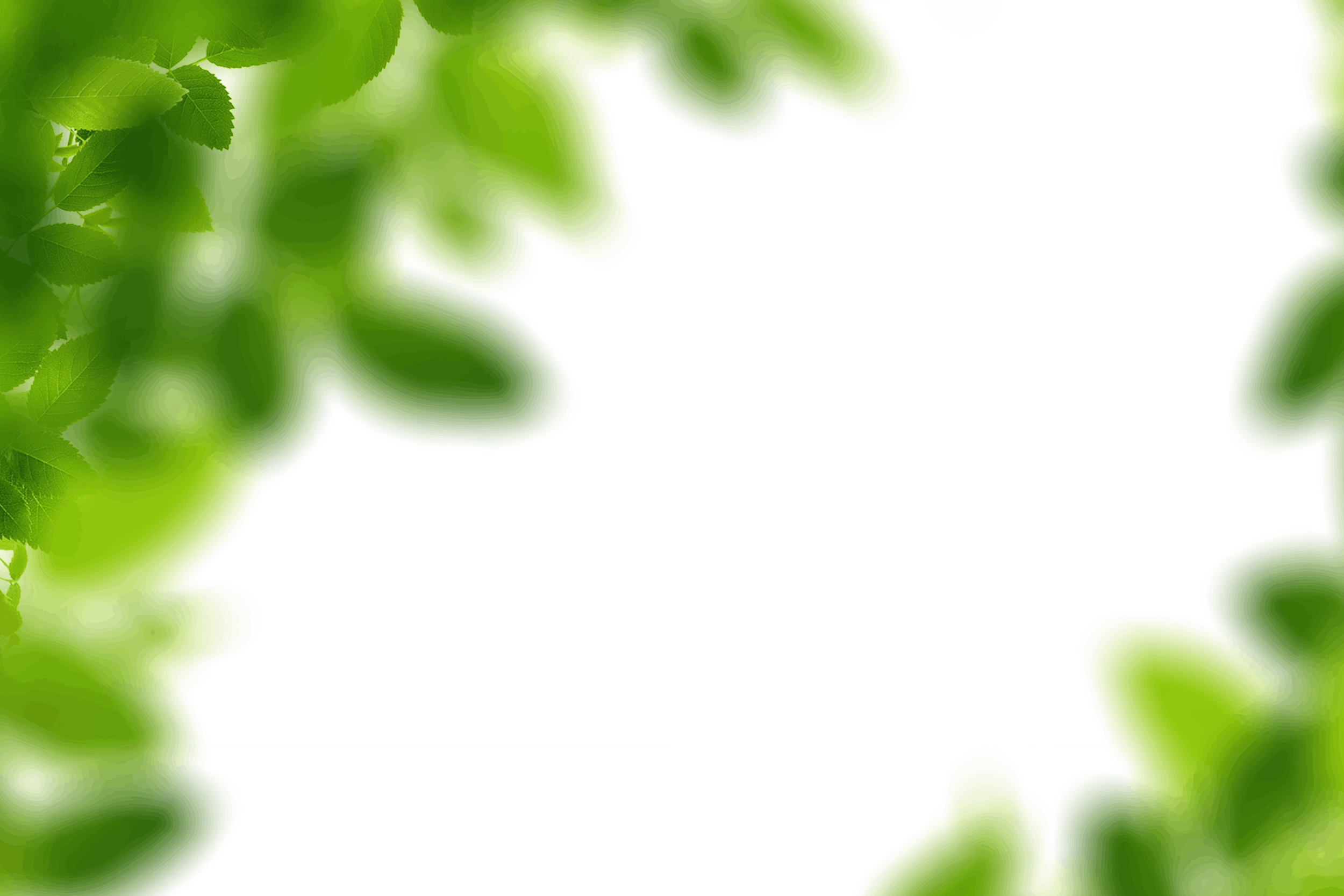 7.png
