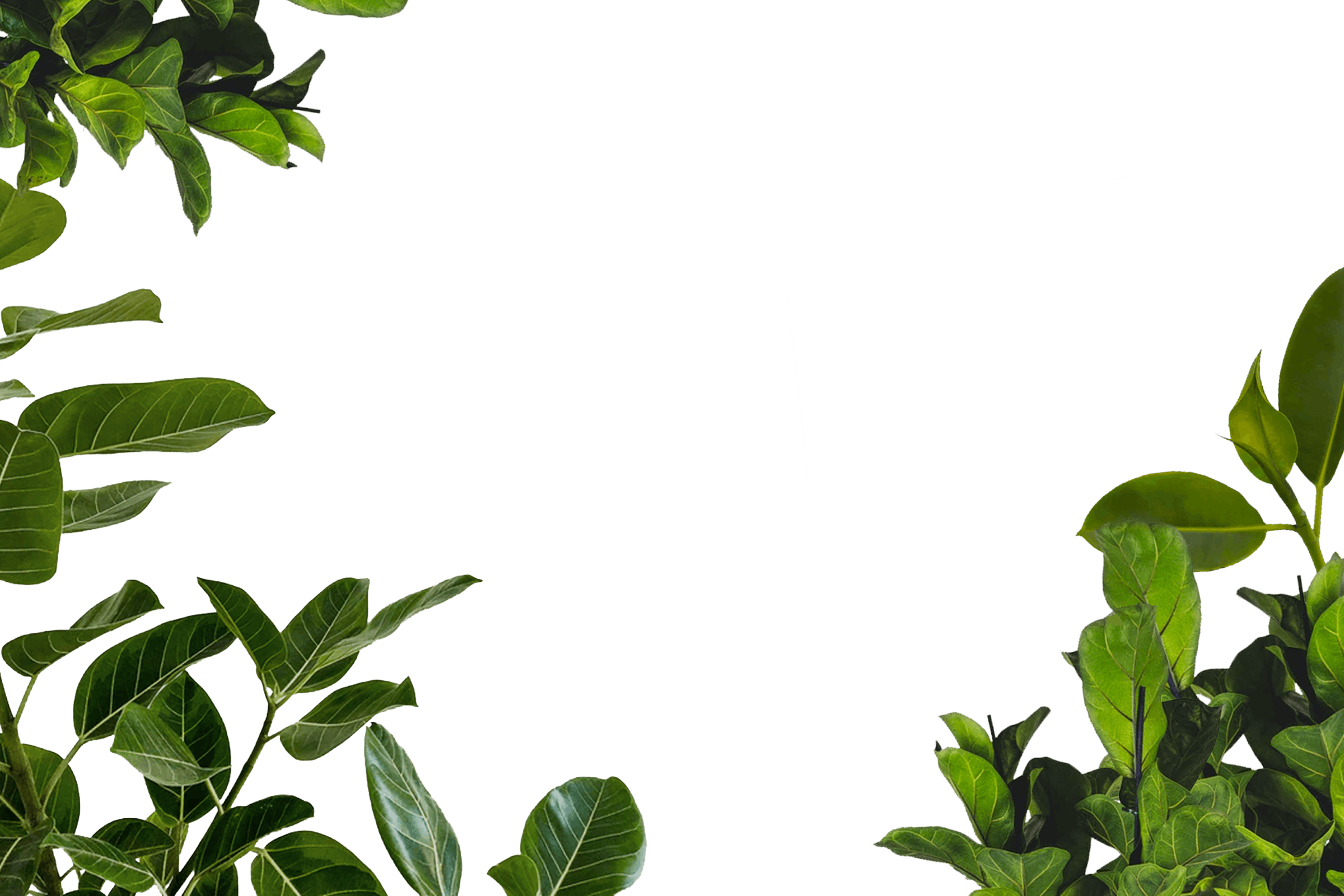 14.png