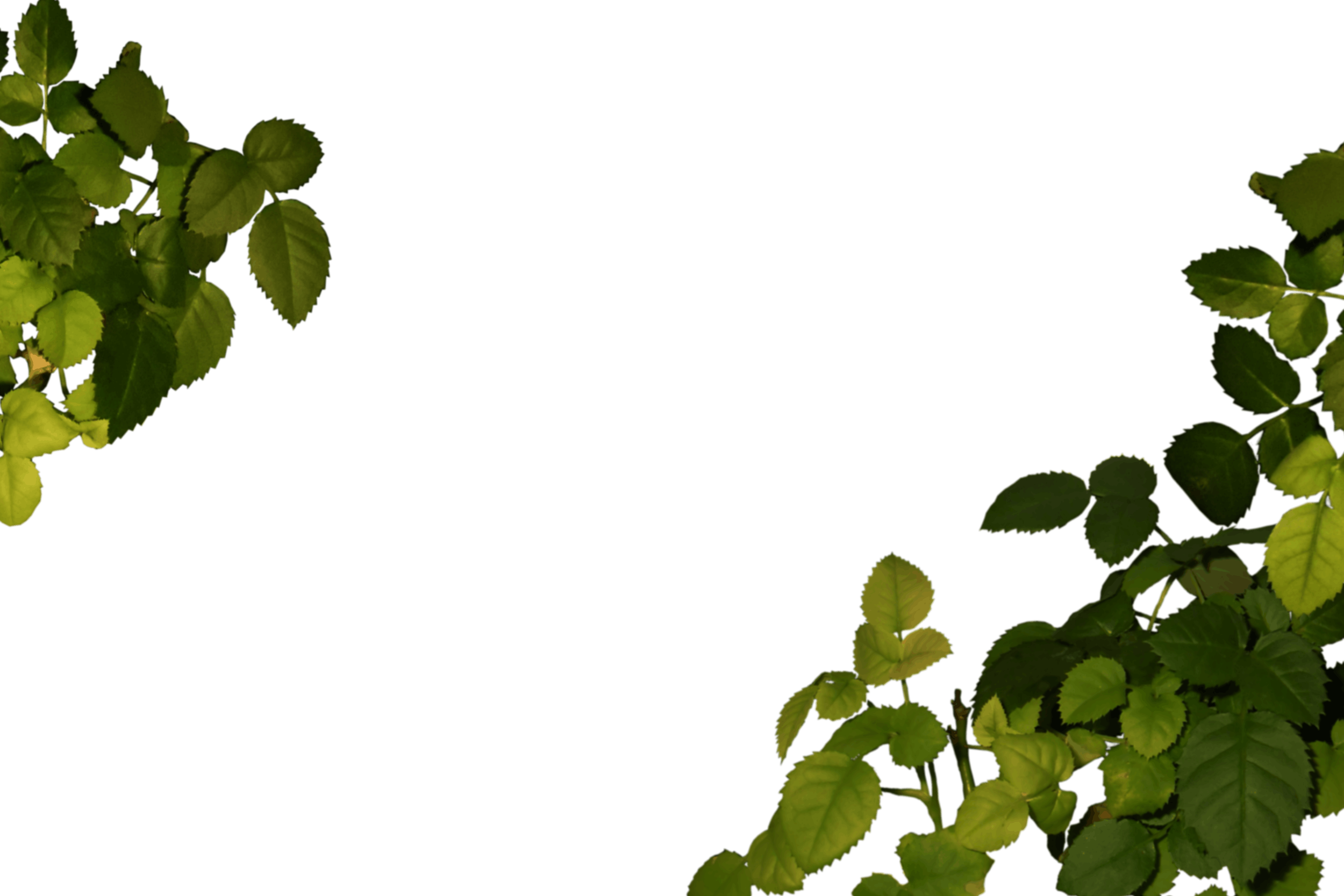 15.png