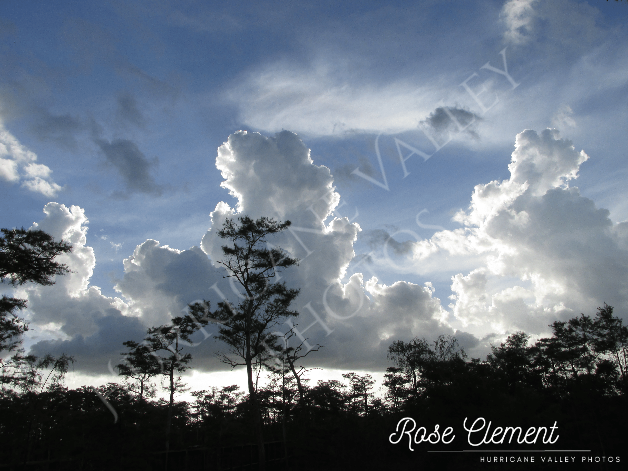 cypress stand clouds+2 watermarks.png
