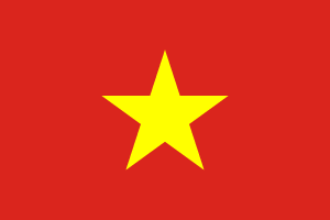 Vietnam International Runner Guide