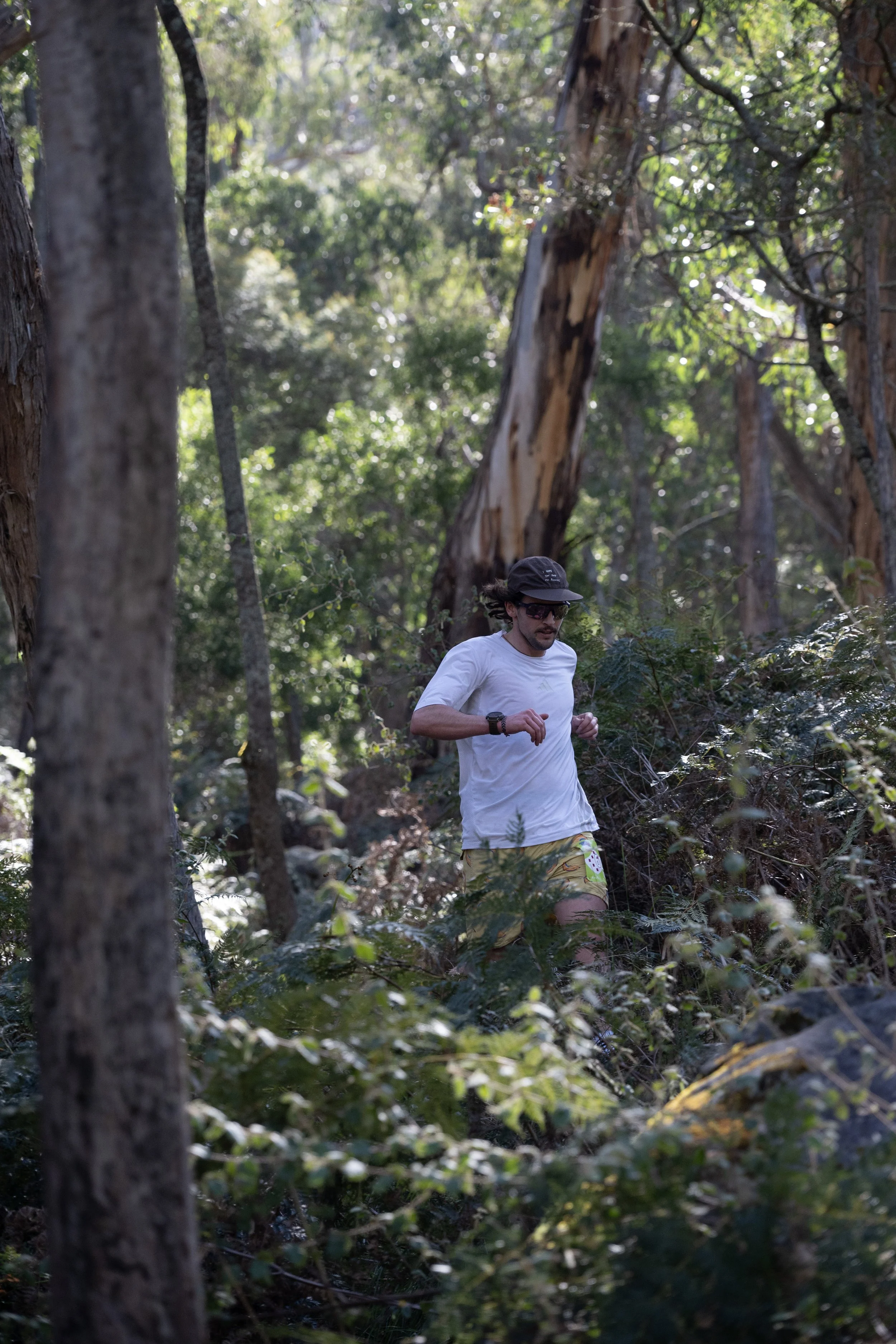 Trail runner in Gariwerd
