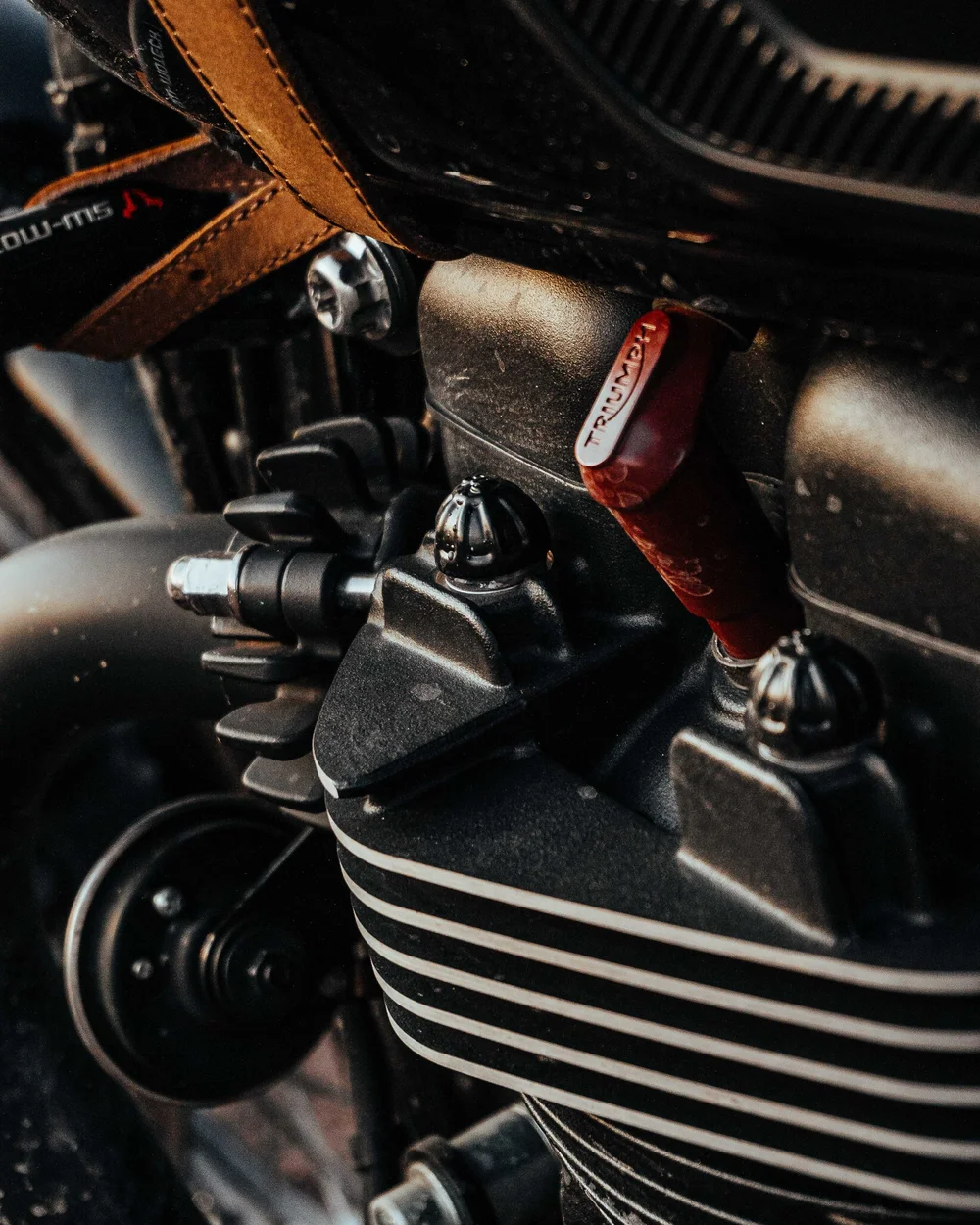 Black Cylinder Stud Knuckles Caps