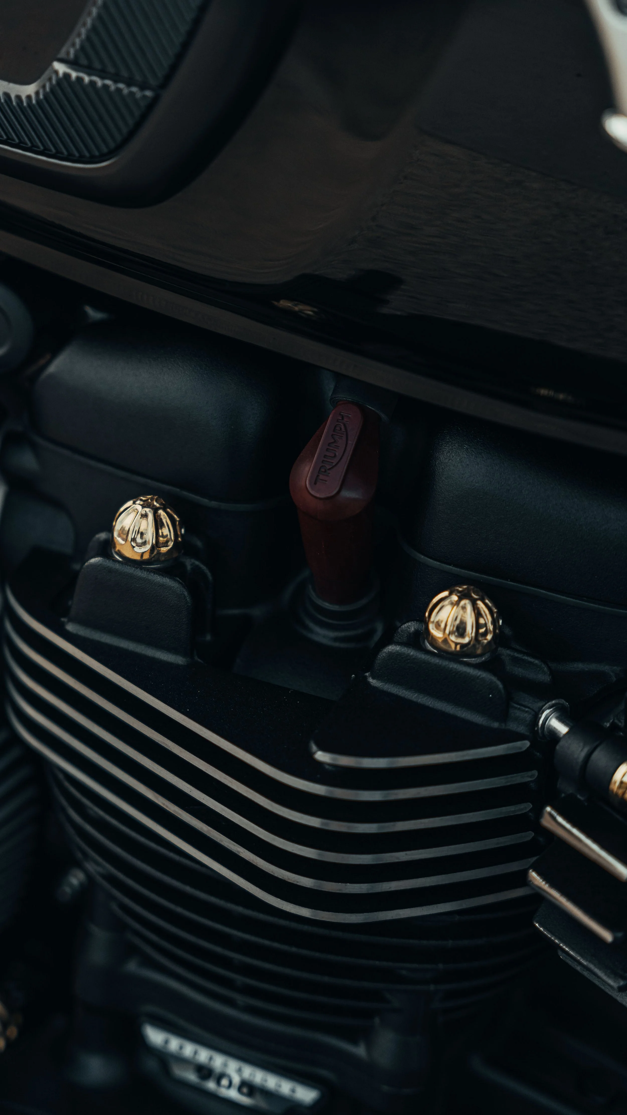 Brass Cylinder Stud Knuckles Caps