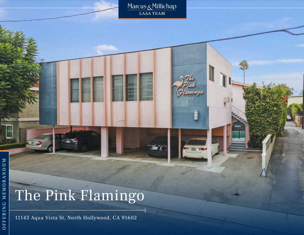 The Pink Flamingo Pic.png