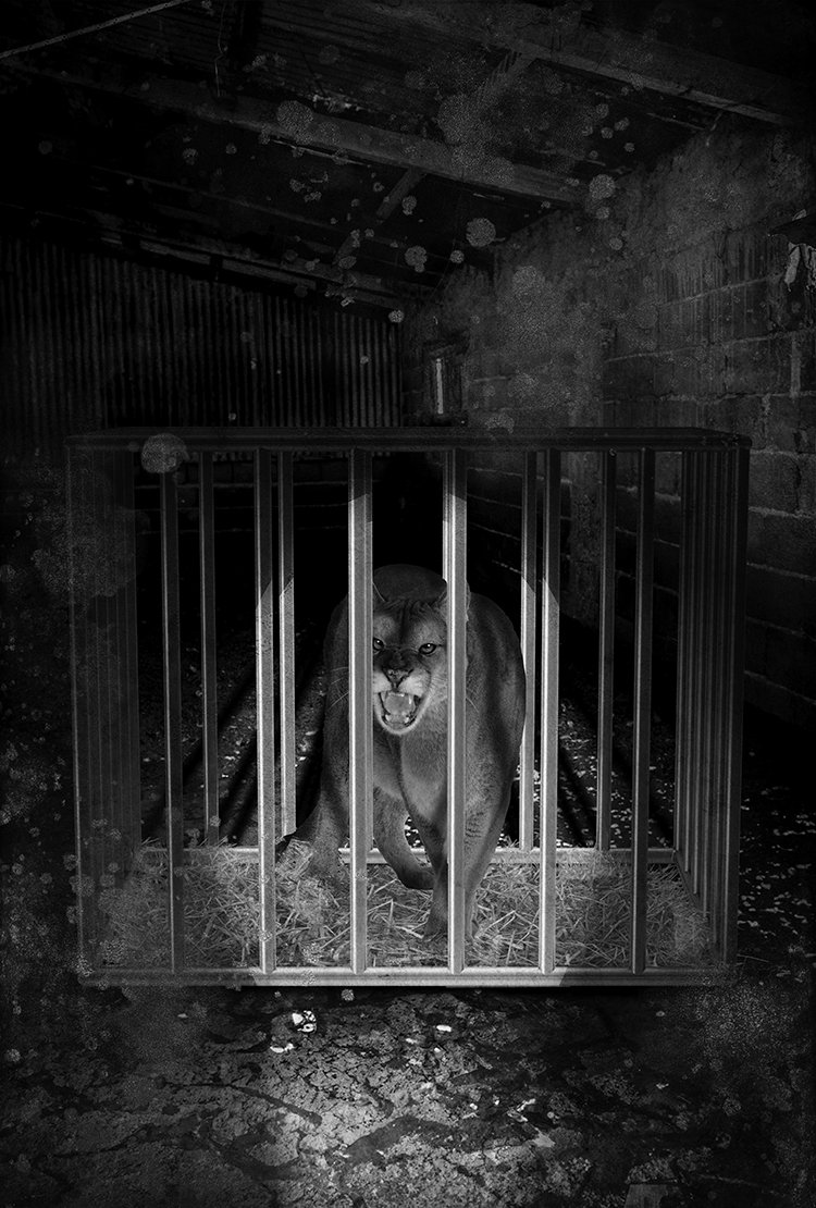 LOST MAN 10 low res.jpg