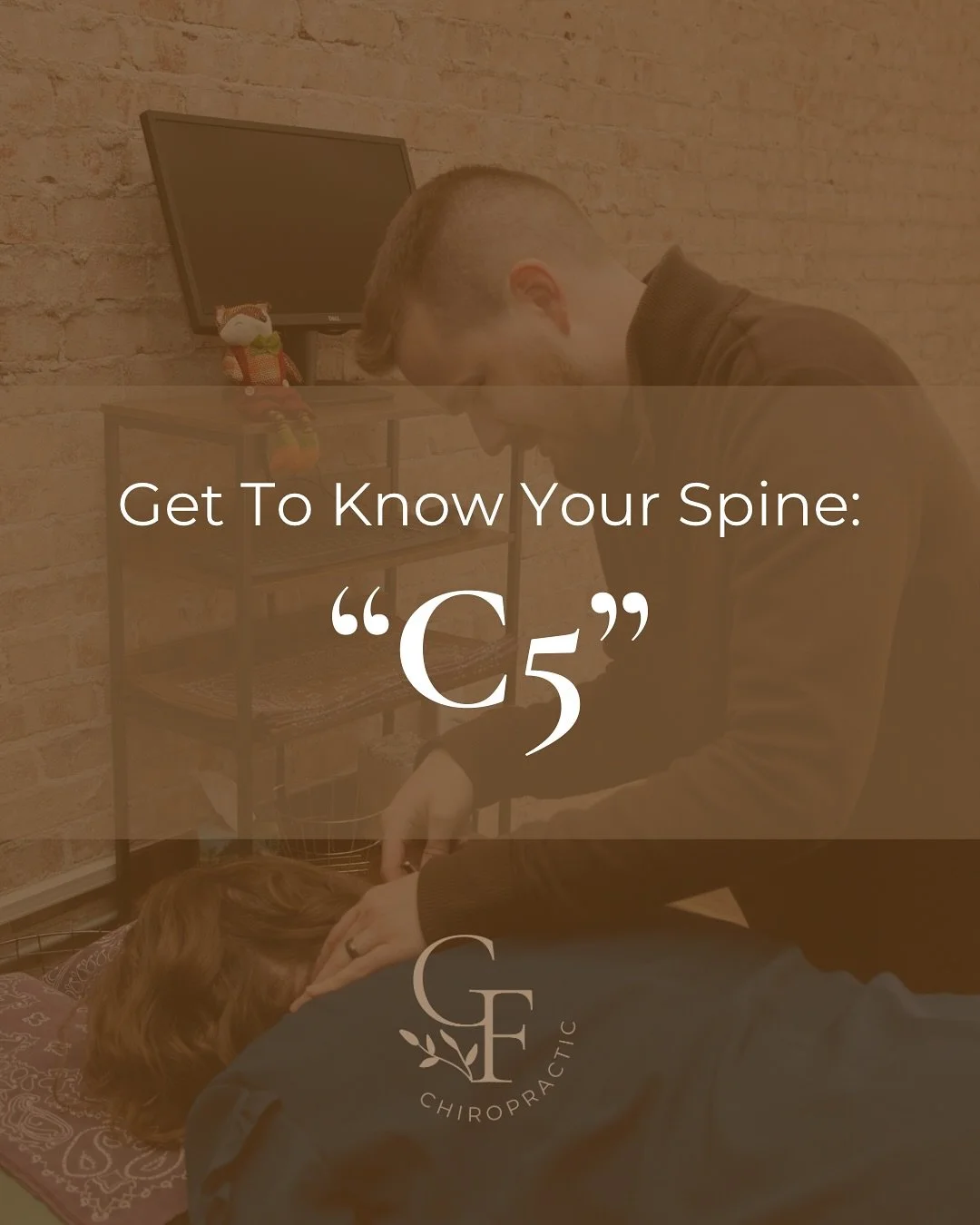 🦴✨ C5 Vertebra &amp; the Power Beneath ✨🦴

The C5 vertebra shields the C5 &amp; C6 nerve roots&mdash;vital pathways for upper limb strength and sensation. But that&rsquo;s not the whole story&hellip;

⚡ C5 Nerve Root
	&bull;	Motor: deltoid &amp; bi