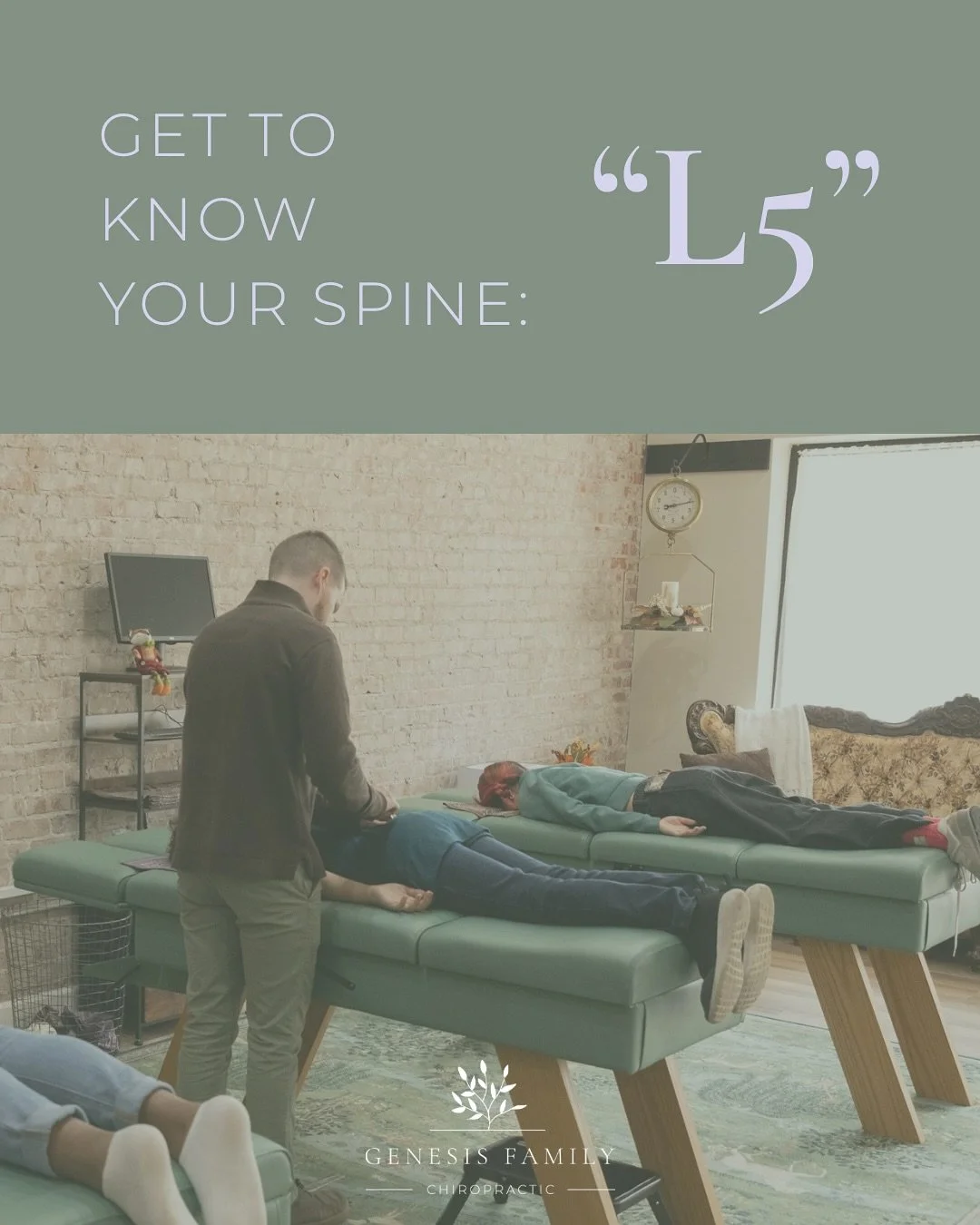 🦴✨ L5: The Silent Protector &amp; Powerhouse ✨🦴

Deep in your lumbar spine, the L5 vertebra stands guard&mdash;shielding the L5 nerve roots as they fan out to steer lower limb function.

⚡ L5 Nerve Roots
	&bull;	Motor + movement: hip extension, dor