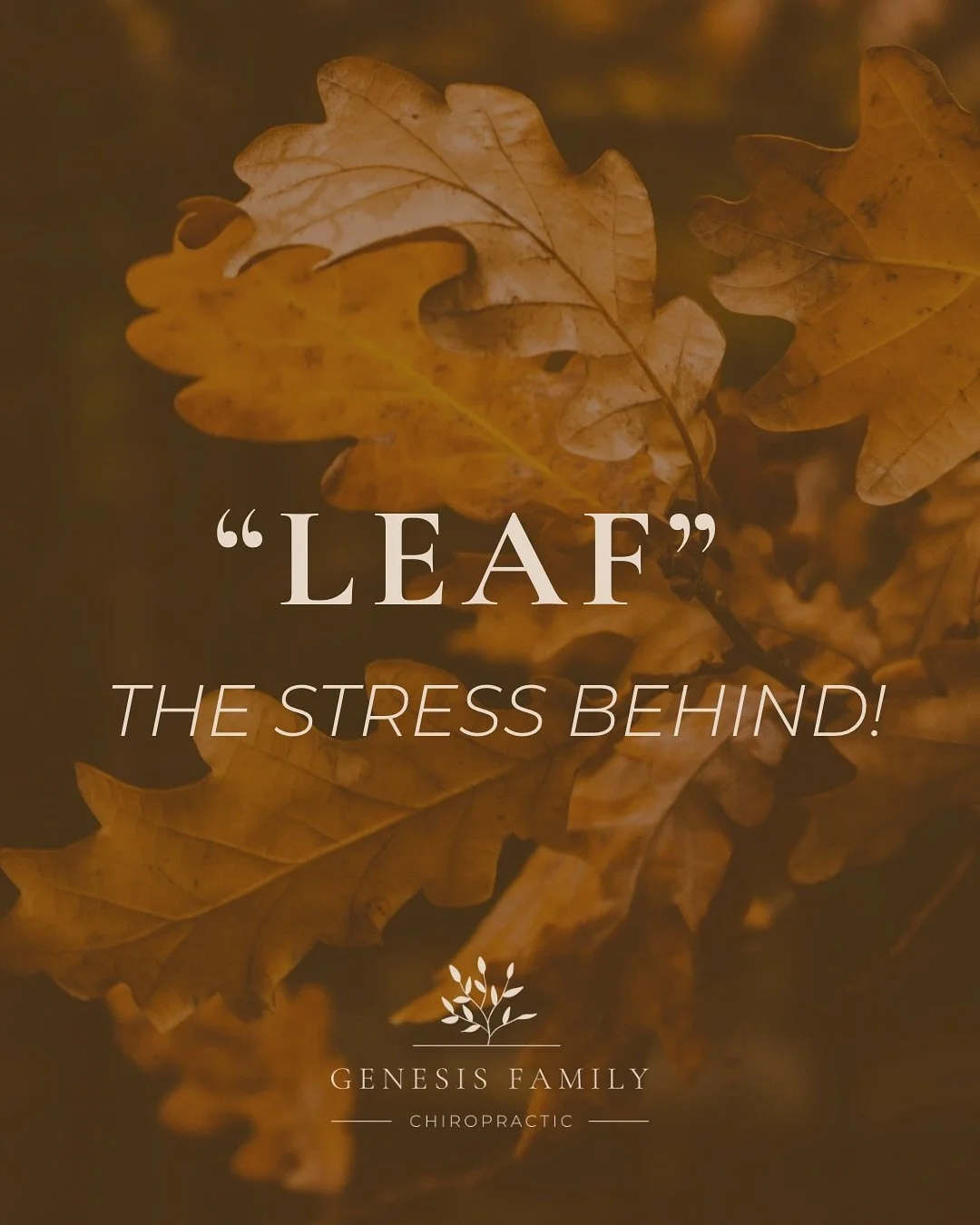 🍁 It&rsquo;s time to &ldquo;leaf&rdquo; the stress behind! 🌿
At Genesis Family Chiropractic, we help your body find balance by addressing all forms of stress &mdash; physical, mental, and chemical.
Because true health means healing from the inside 