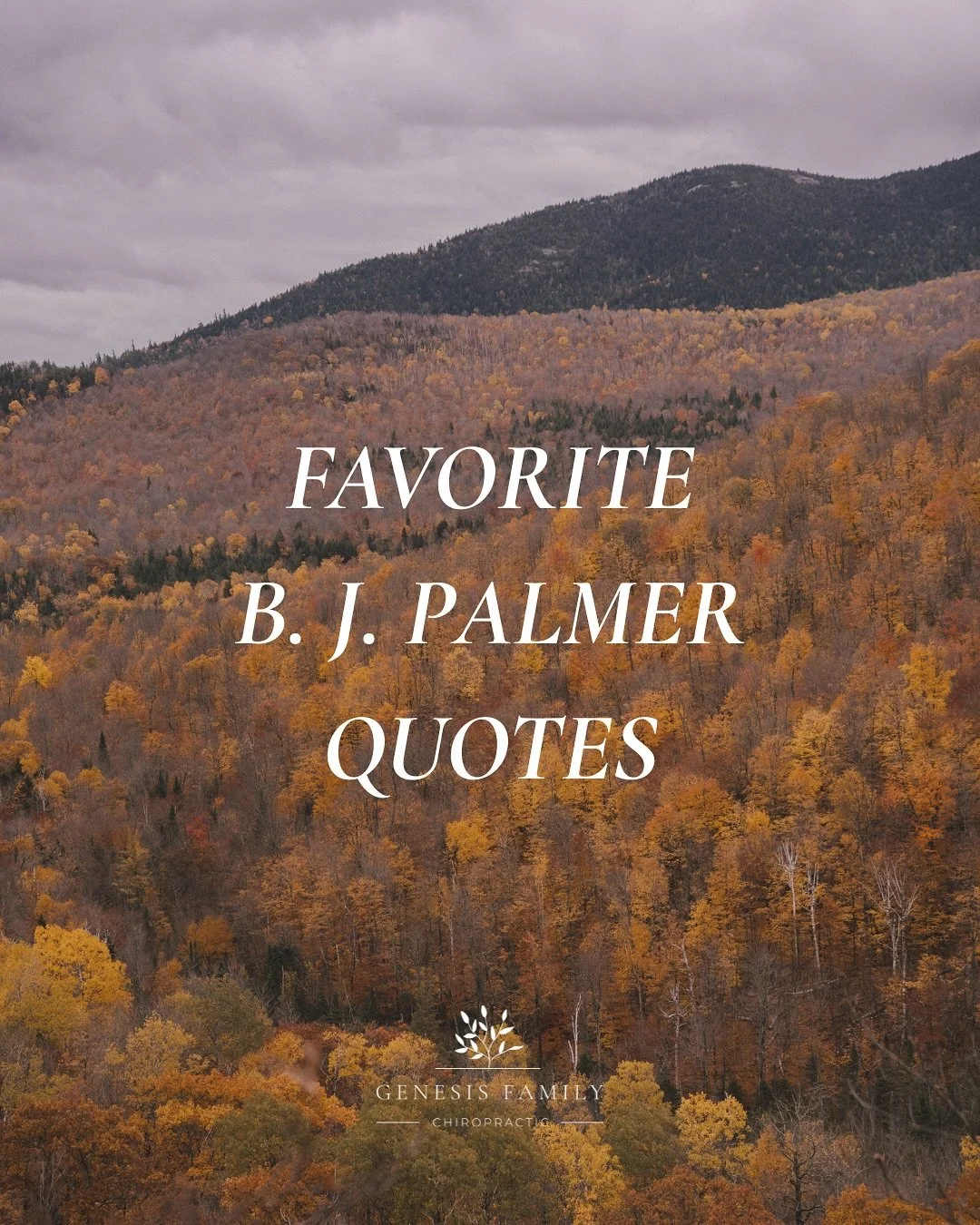 ✨ &ldquo;The preservation of health is easier than the cure of disease.&rdquo; ✨

Wise words from B.J. Palmer &mdash; the developer of chiropractic &mdash; reminding us that true wellness starts from within. 💫

At Genesis Family Chiropractic, we bel
