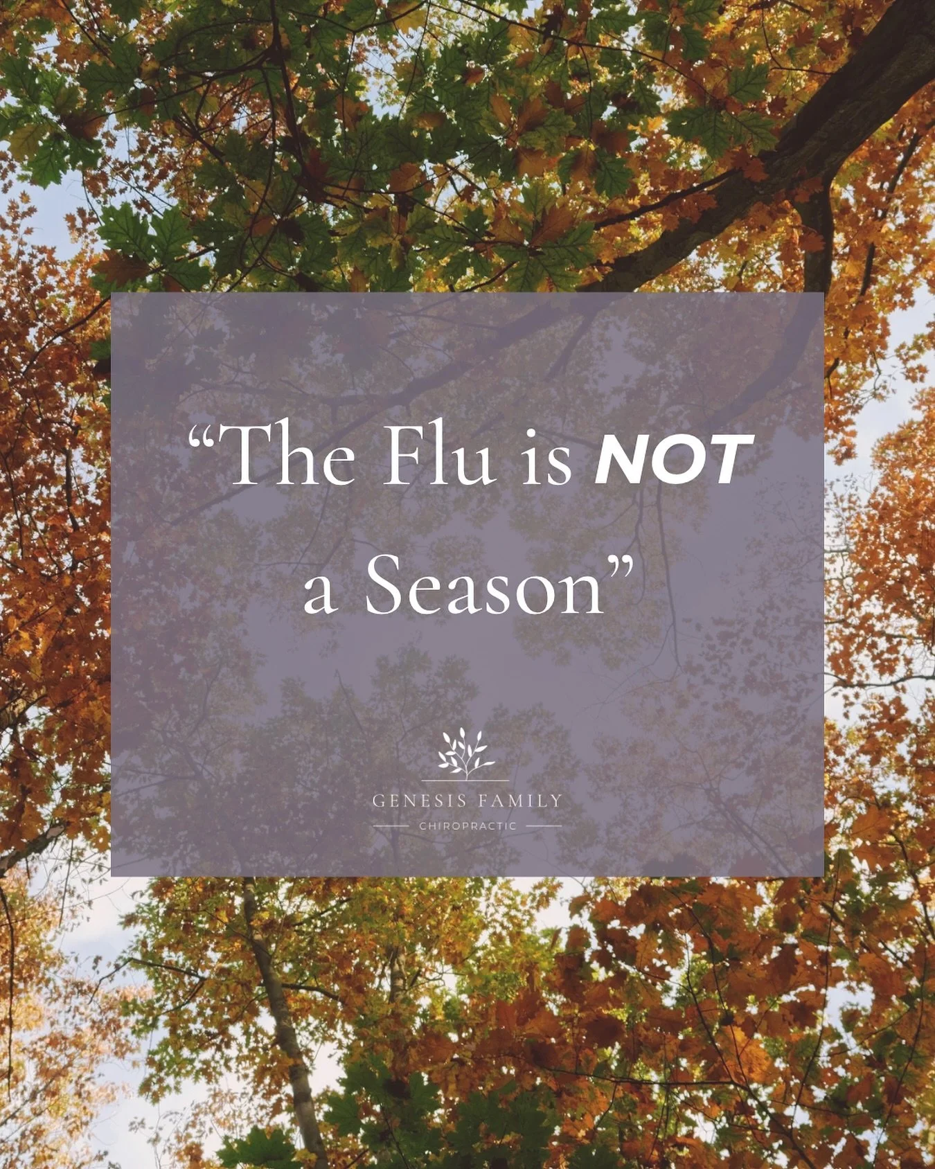 🍁 &ldquo;The Flu is NOT a Season&rdquo; 🍁

As the weather cools and the days get shorter, our routines shift &mdash; and so do our habits. It&rsquo;s not the change in temperature that makes us sick, but rather the changes in our lifestyle.

When w
