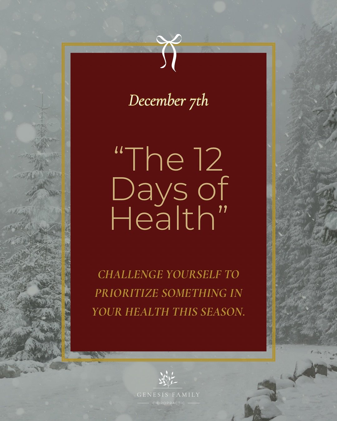 ✨ Day 7 of the 12 Days of Health: Air Purifier ✨

Indoor air quality matters &mdash; especially during the colder months when we&rsquo;re spending most of our time inside. Air purifiers help remove dust, allergens, gases, odors, and even VOCs like fo