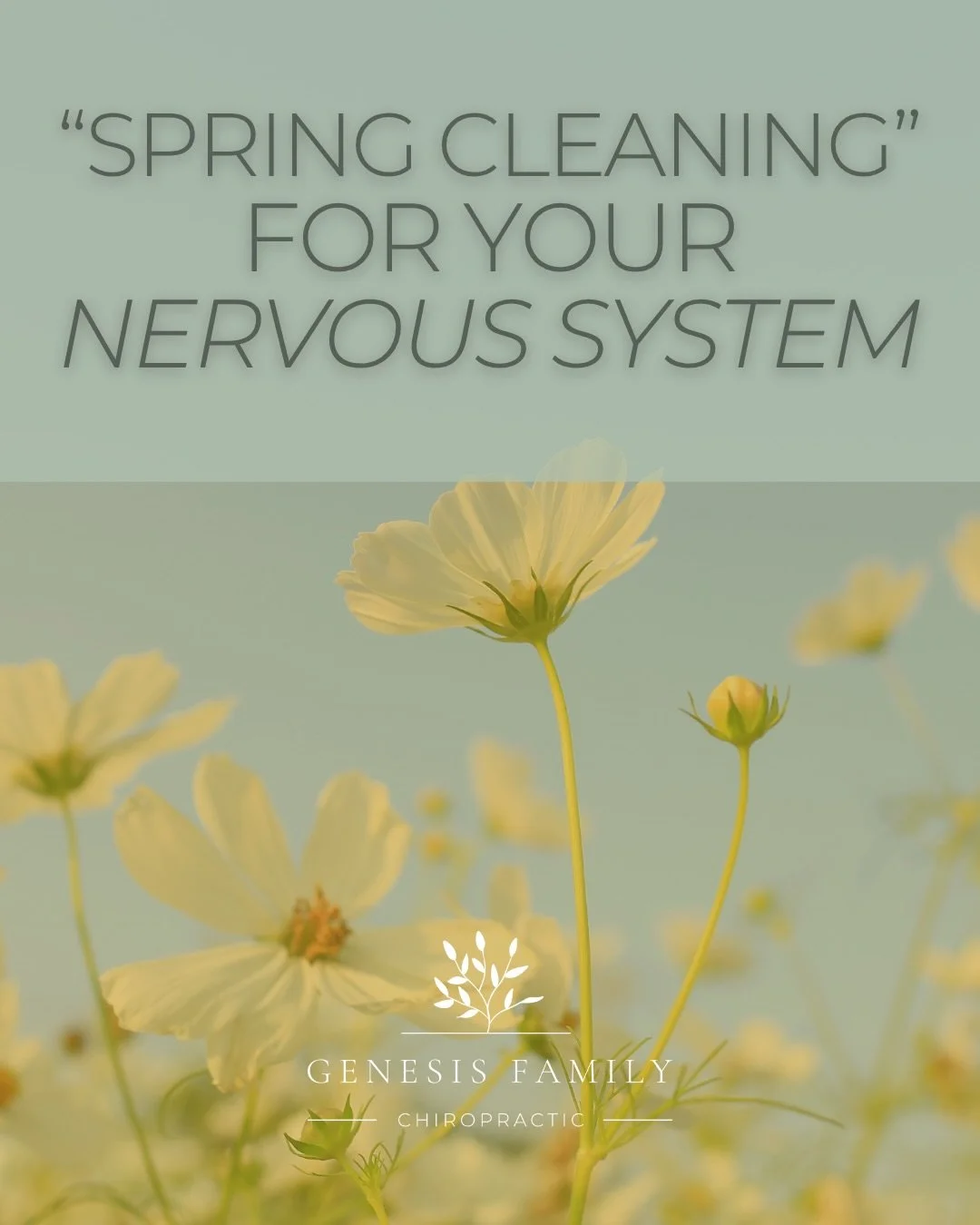 Spring isn&rsquo;t just for cleaning your home&mdash;it&rsquo;s for resetting your nervous system, too 🌿✨

Chiropractic care helps restore balance, improve communication in your body, and support the healing you&rsquo;ve been needing.

Step into thi