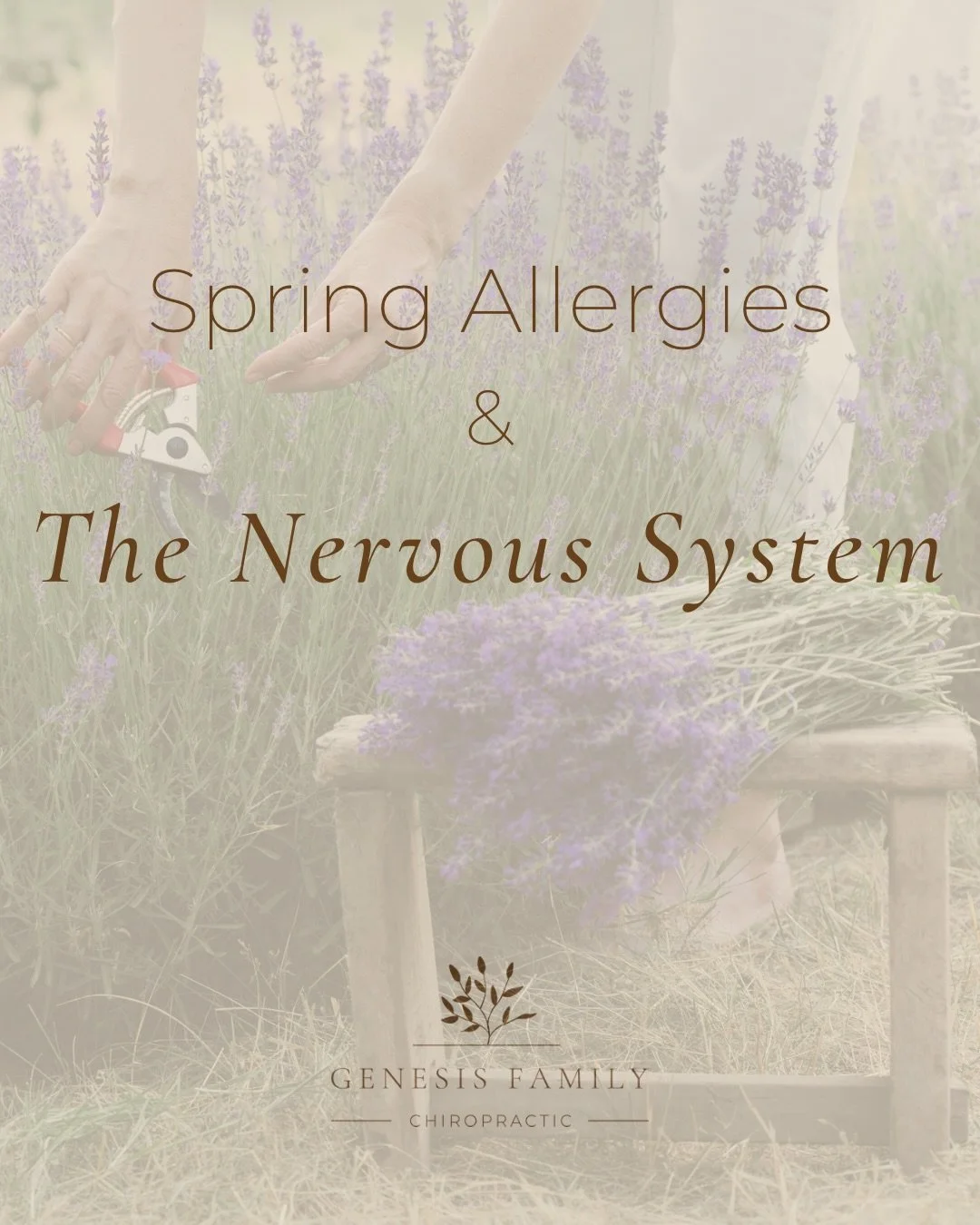 Spring allergies hitting hard? 🌼🤧

Your nervous system plays a bigger role than you think. When it&rsquo;s balanced, your body can respond and adapt more efficiently.

Let this season feel light, energized, and refreshing&mdash;not draining ✨

#all