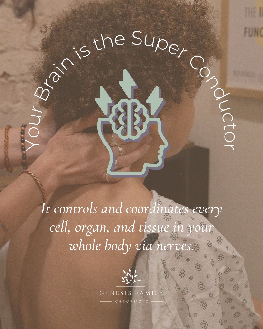 The Brain-Body Superhighway 🧠⚡️

Did you know that every time a spinal adjustment is performed, it&rsquo;s about much more than just &ldquo;moving a bone&rdquo;? It&rsquo;s a direct communication to your brain.

Your brain is the superconductor of y