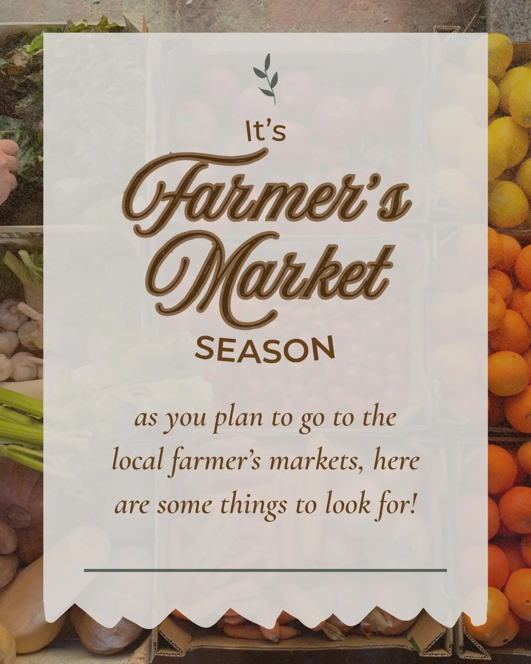 Not all produce is created equal! 🧪🚫

While we always advocate for fresh and local, knowing the &ldquo;Dirty Dozen&rdquo; vs. the &ldquo;Clean 15&rdquo; can help you make the best choices for your family&rsquo;s health and your budget.

Swipe left 