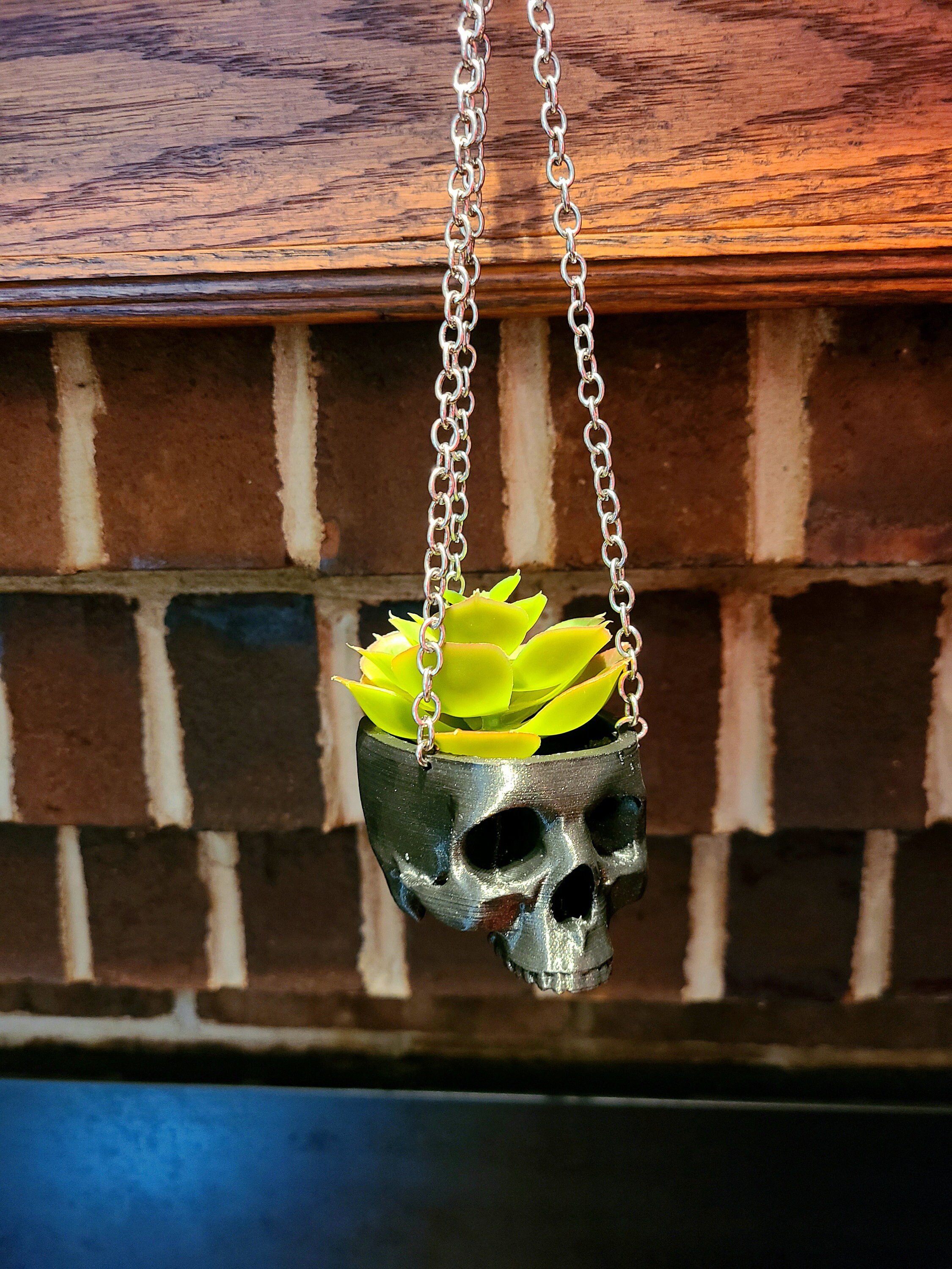 https://i.etsystatic.com/34145955/r/il/6ccff1/4147244828/il_fullxfull.4147244828_hdri.jpg