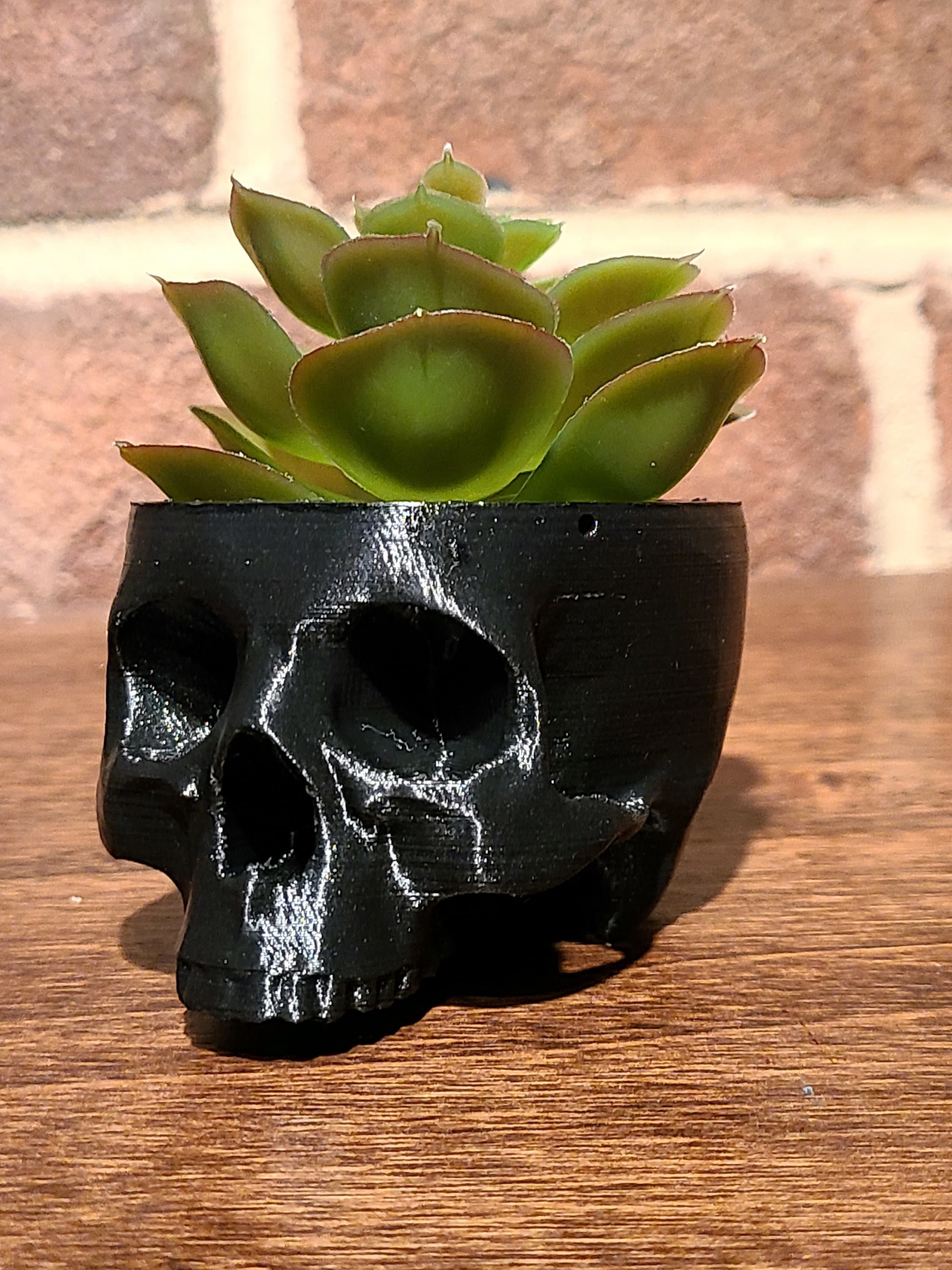 https://i.etsystatic.com/34145955/r/il/ce7813/4135546180/il_fullxfull.4135546180_mn2d.jpg