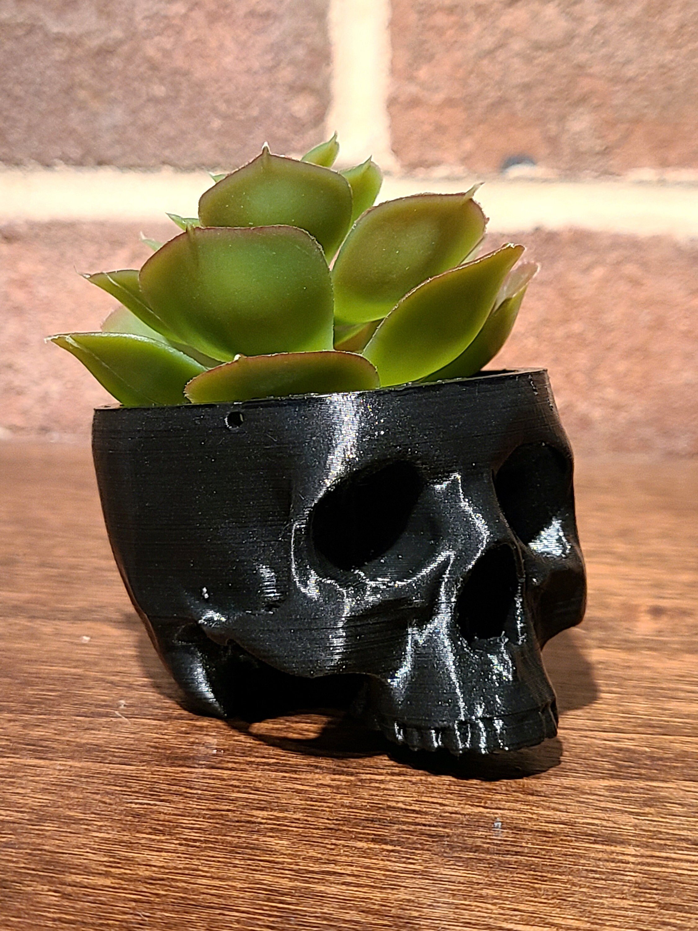 https://i.etsystatic.com/34145955/r/il/4a20bc/4183209107/il_fullxfull.4183209107_bg29.jpg