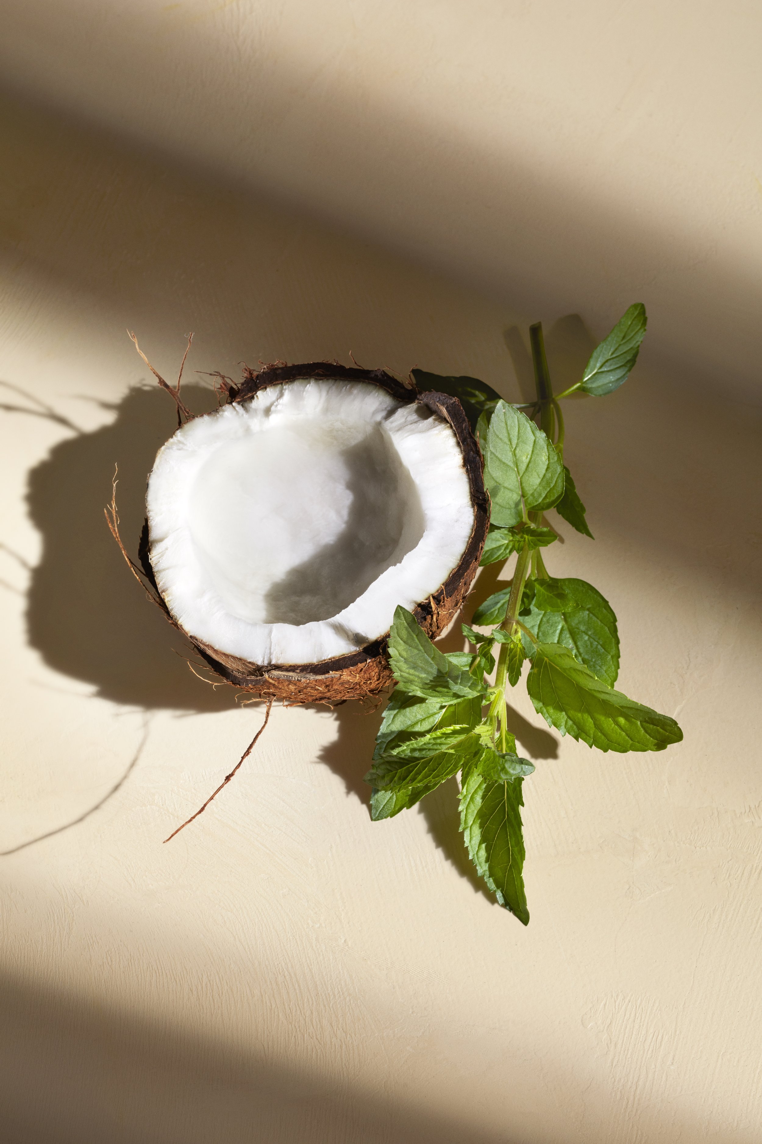 Ingredient_Shave_Cream_6oz_v3.jpeg