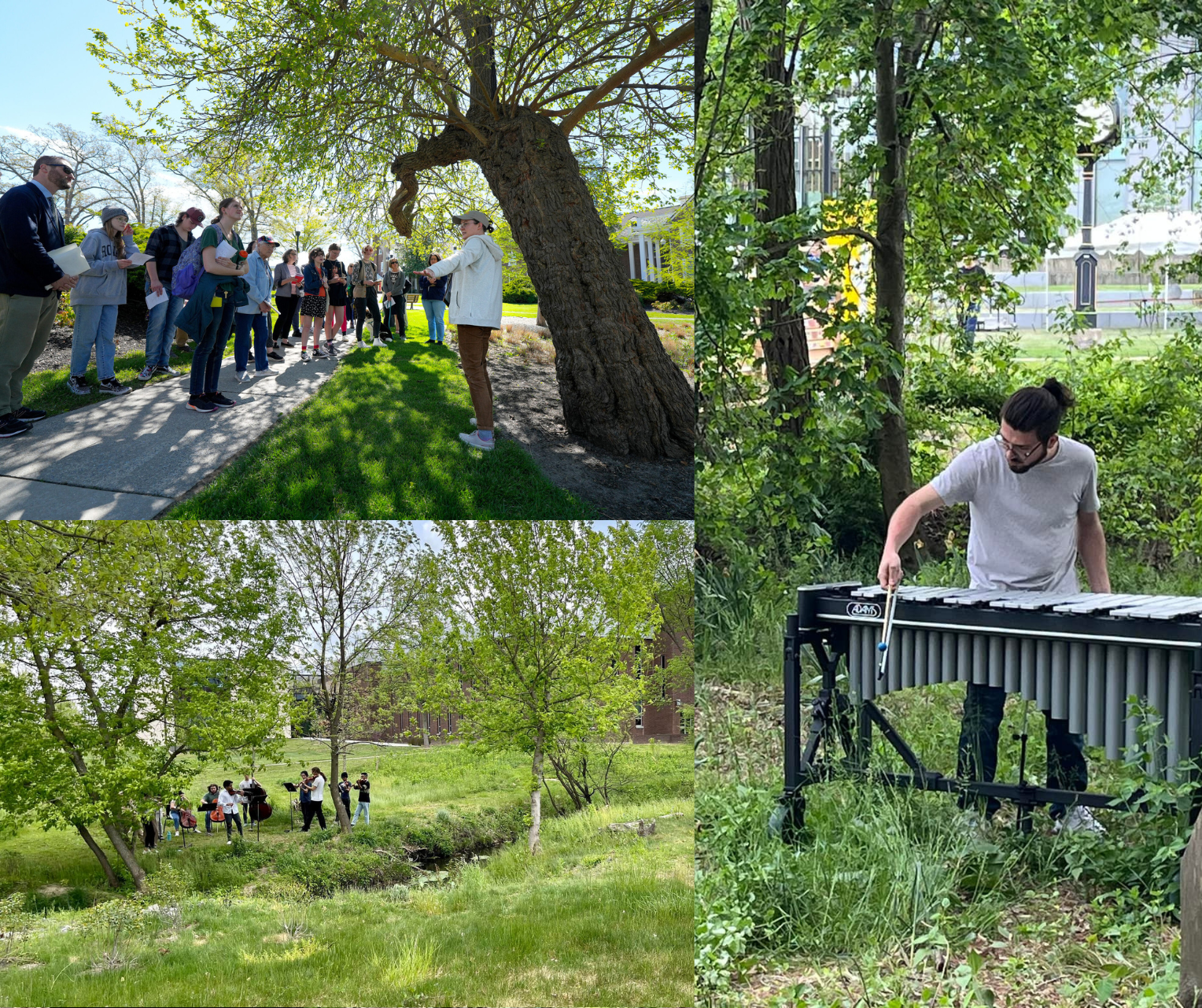Arboretum Walk Concert