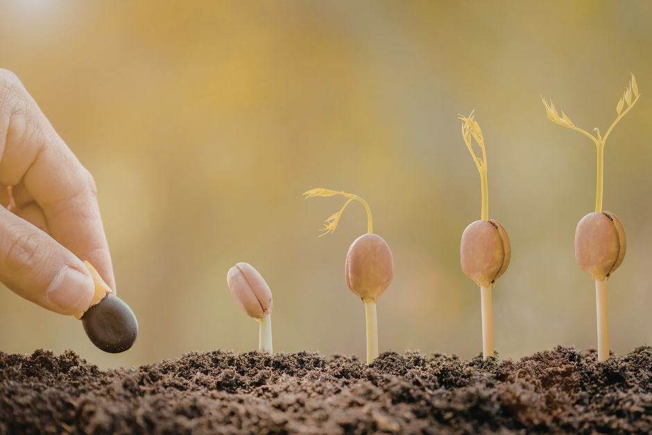 Developing a sustainable Growth Plan for your business