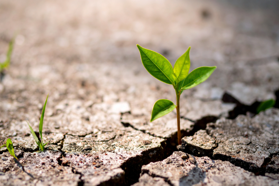 Building financial resilience: how to business-proof against the unexpected