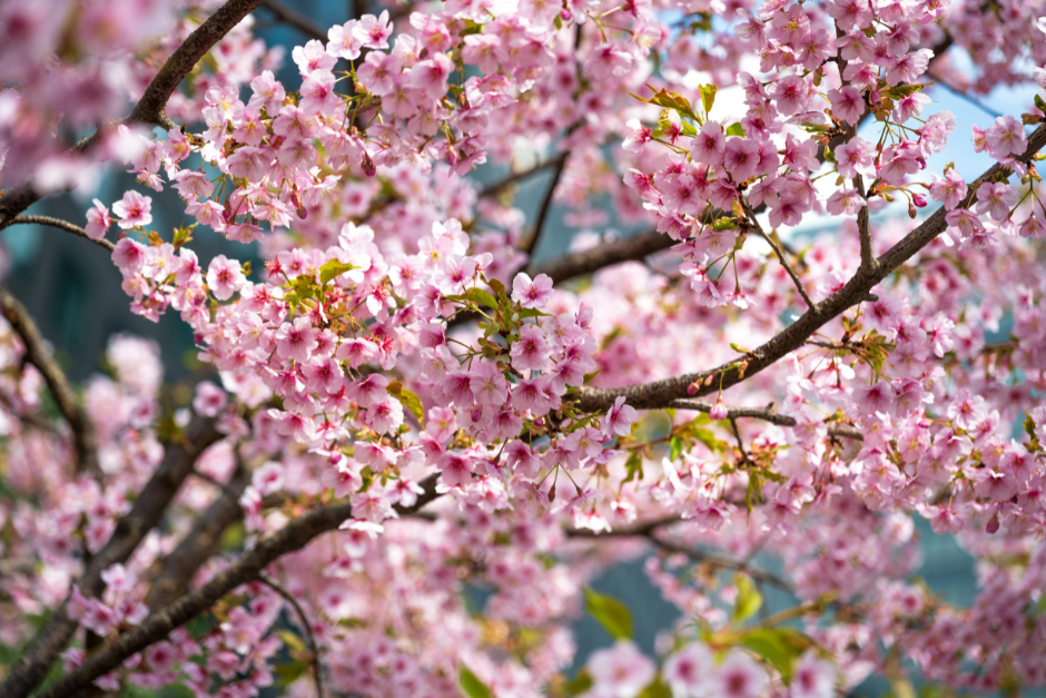The spring business reset: seven decisions to make before the year disappears