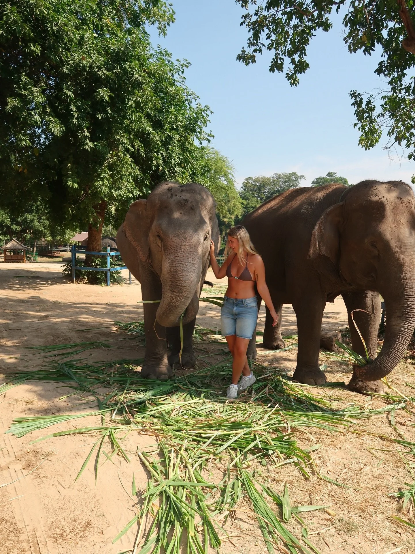 BIG mother nature fan