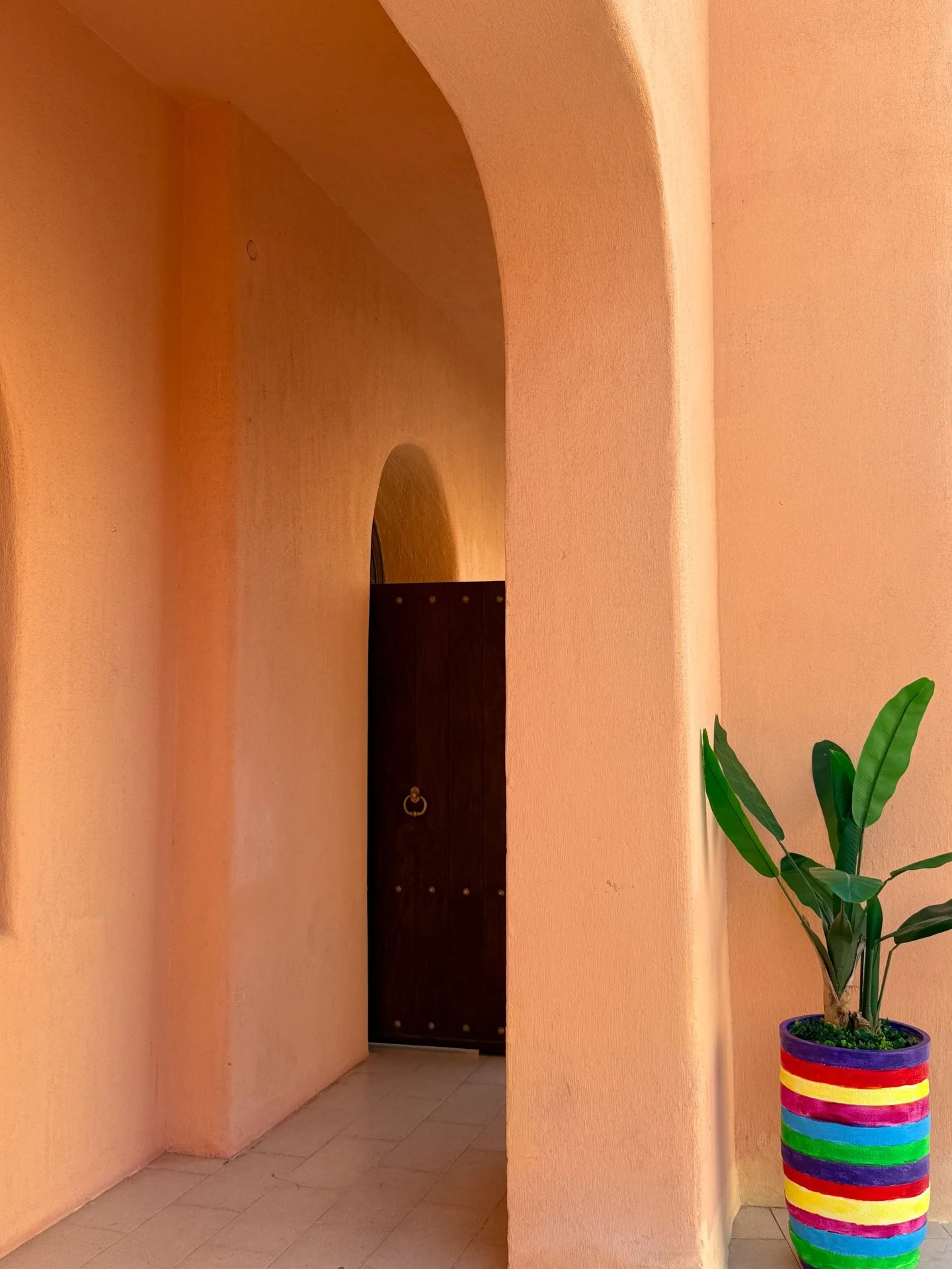 the most challenging year AND the most rewarding year imaginable. going into 2026 surrounded by love and filled with gratitude🫶🏻