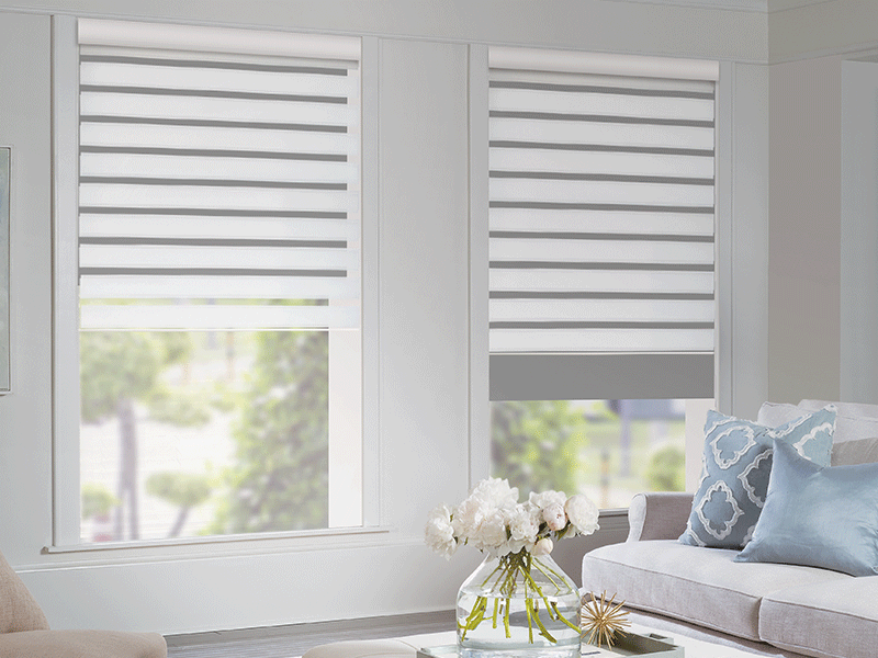 3Dimensiones-Cancún-Proyectos-y-Decoración-Hybrid-Roller-2.png